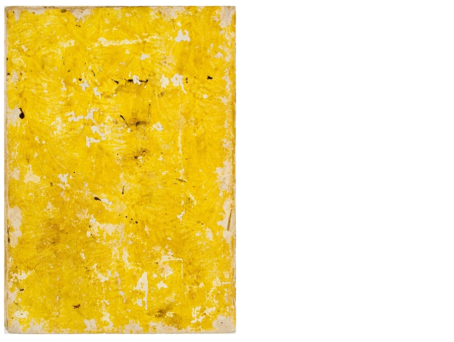 Pag. piatto posteriore