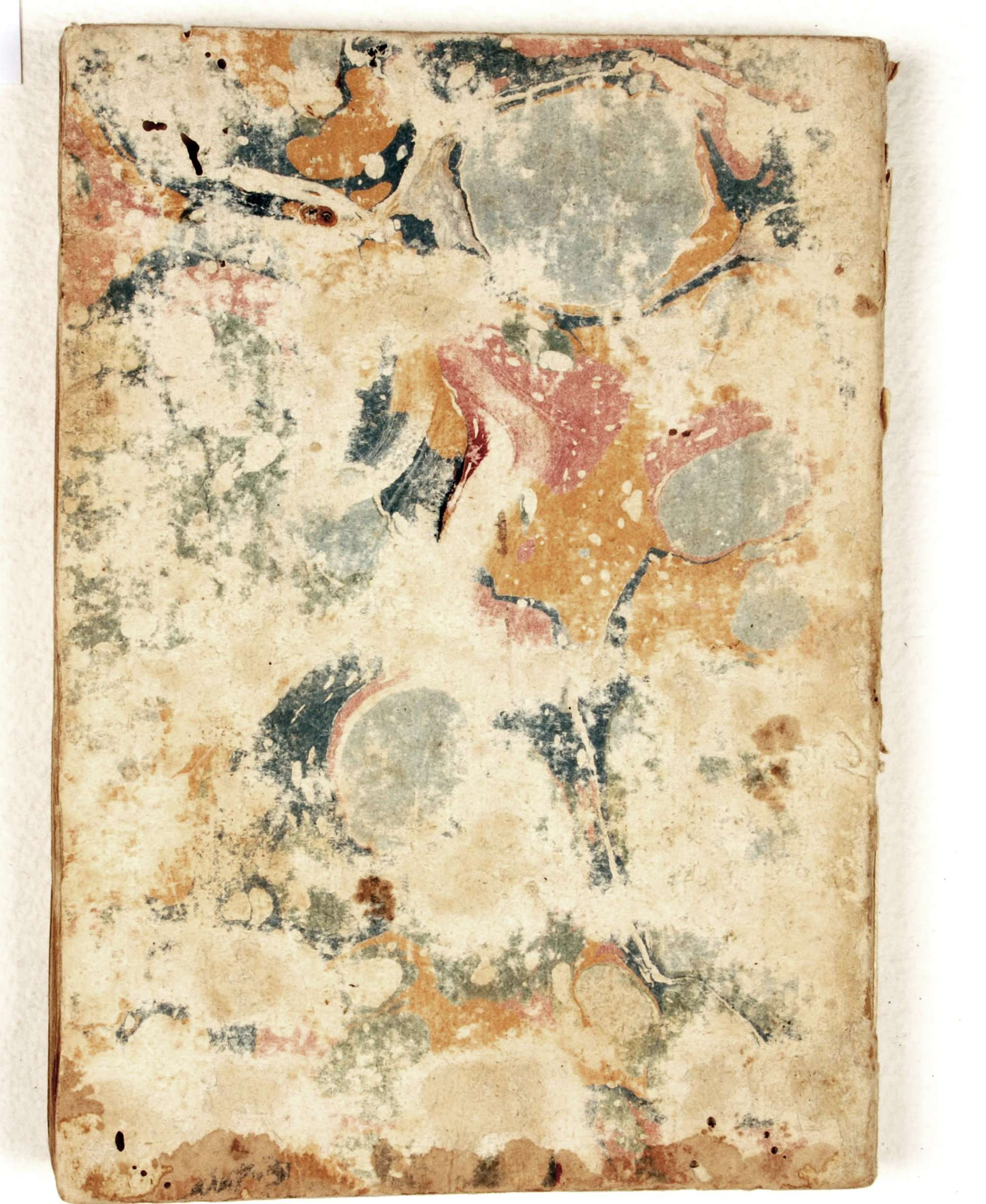 Pag. piatto posteriore