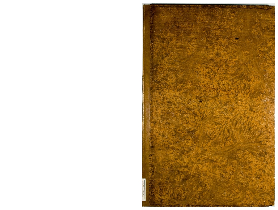 Pag. piatto anteriore