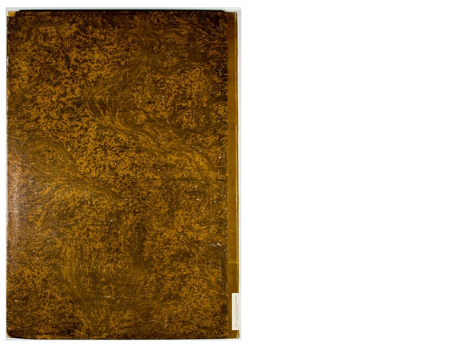 Pag. piatto posteriore