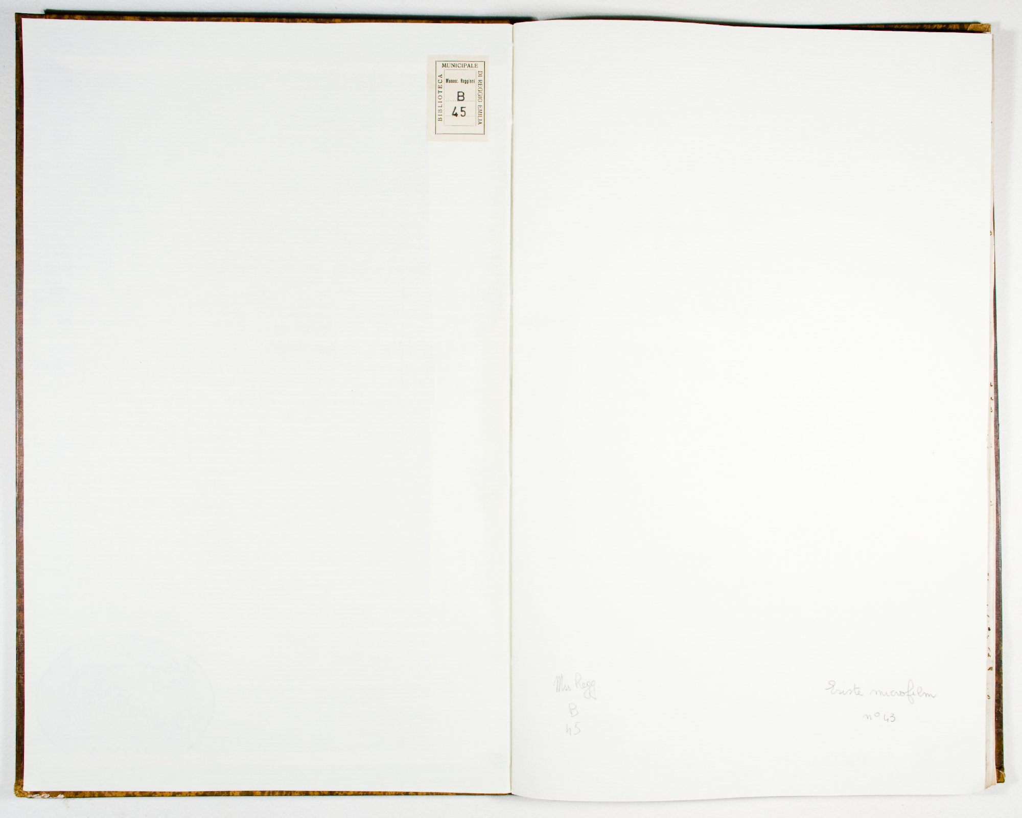 Pag. controguardia piatto anteriore