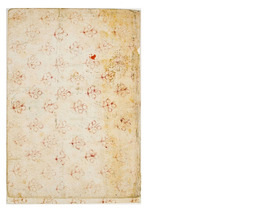 Pag. piatto posteriore