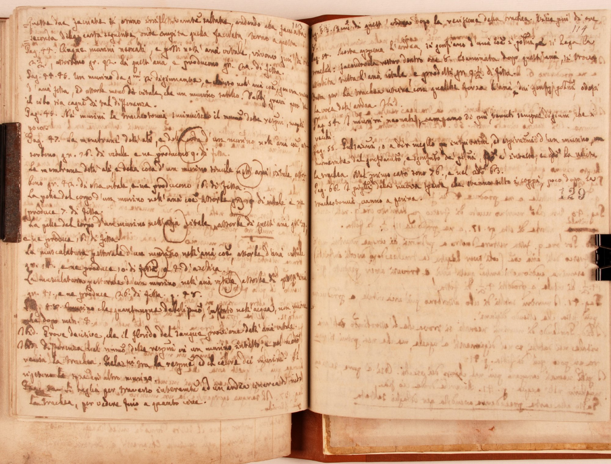Pag. 129