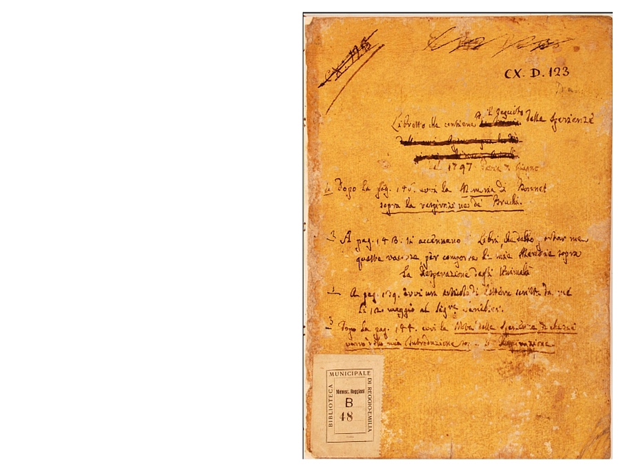 Pag. piatto anteriore