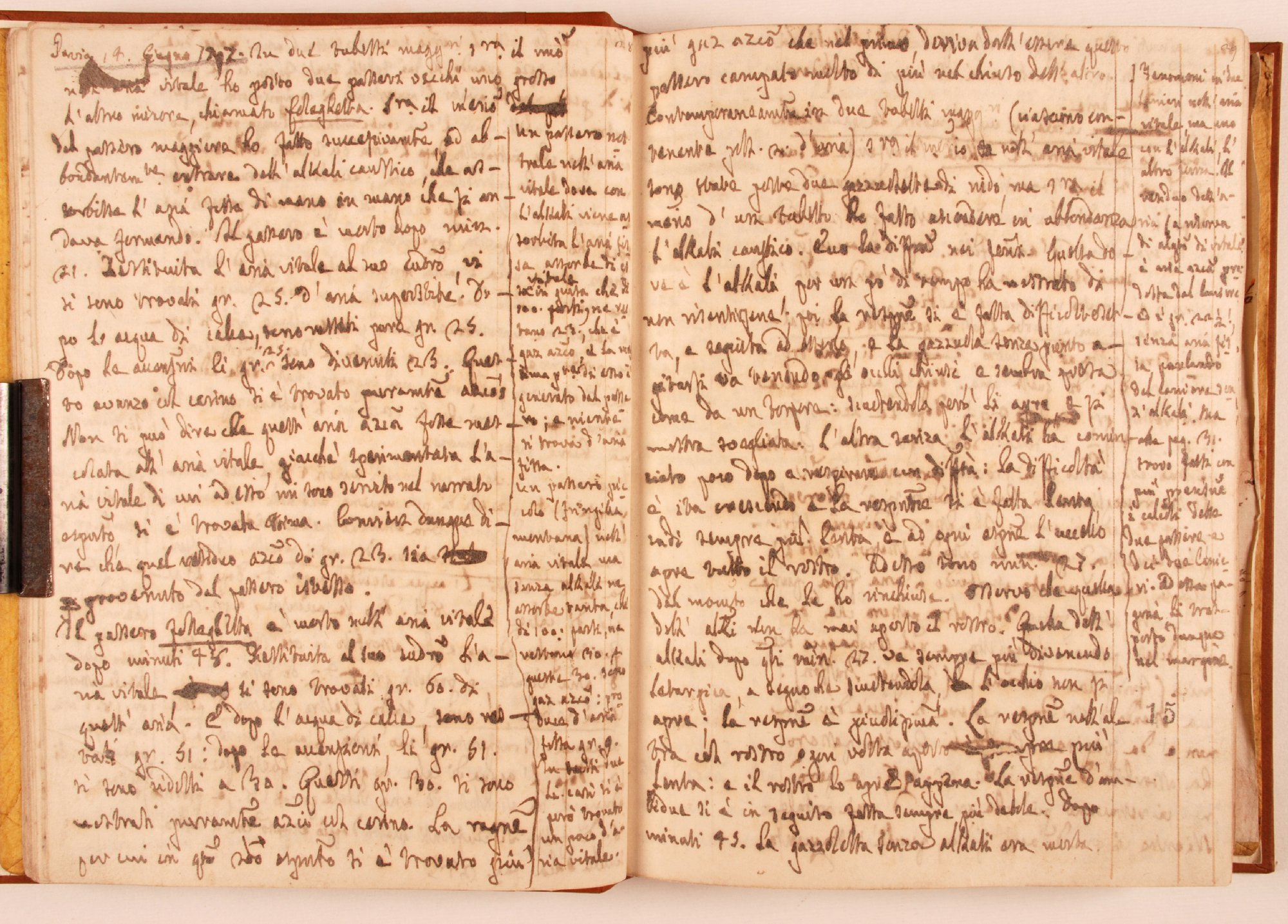 Pag. 15