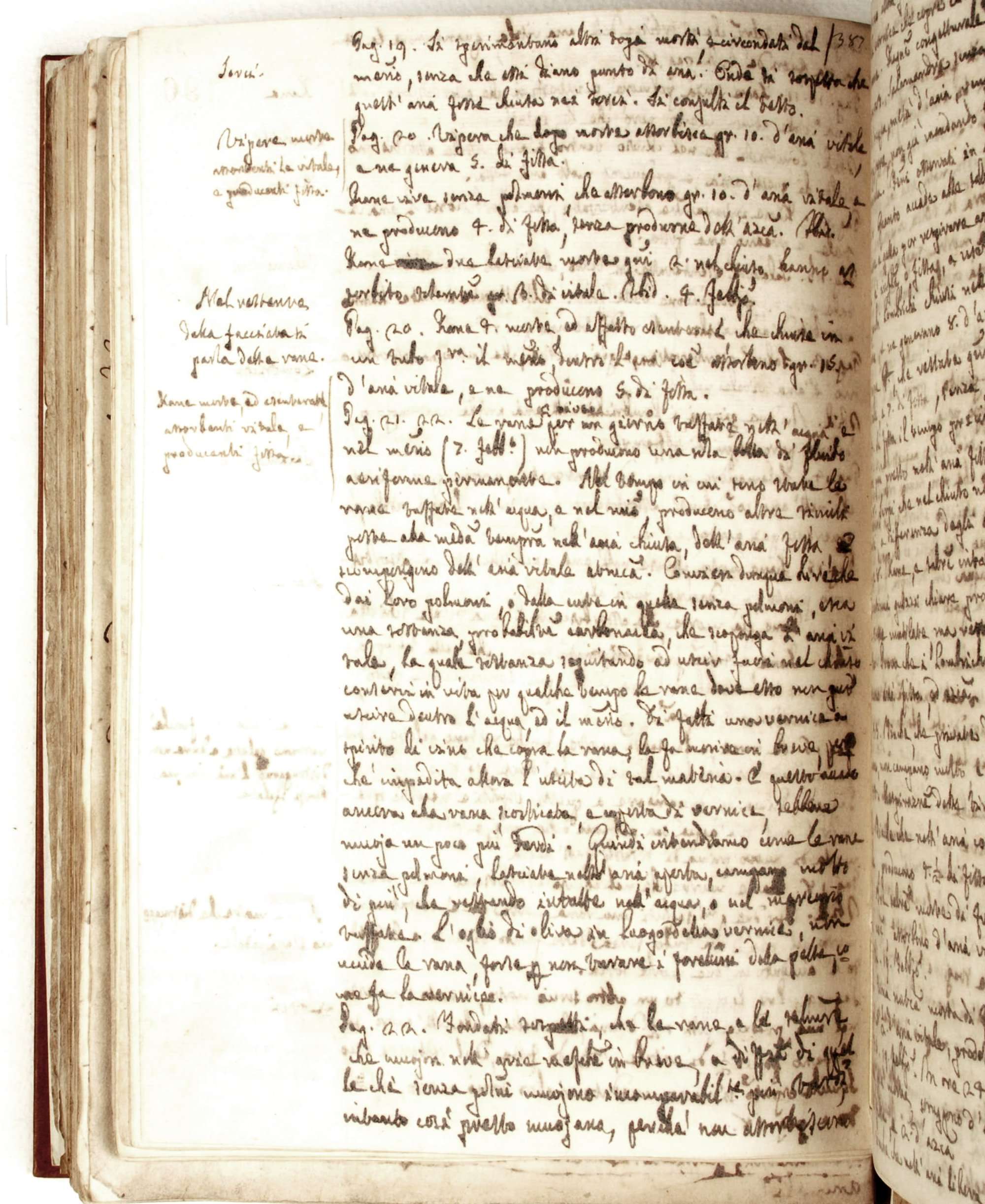 Pag. 196v