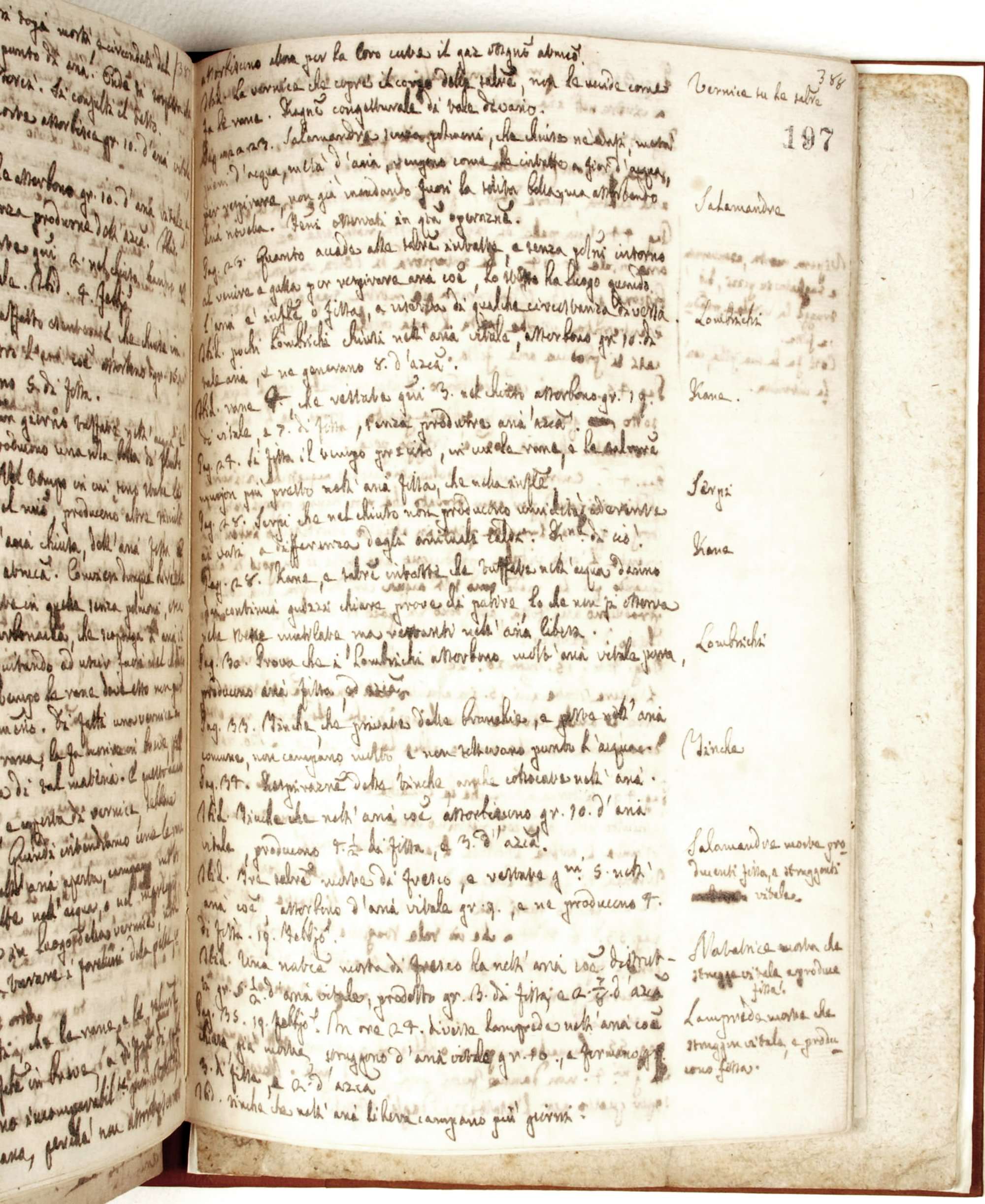 Pag. 197r