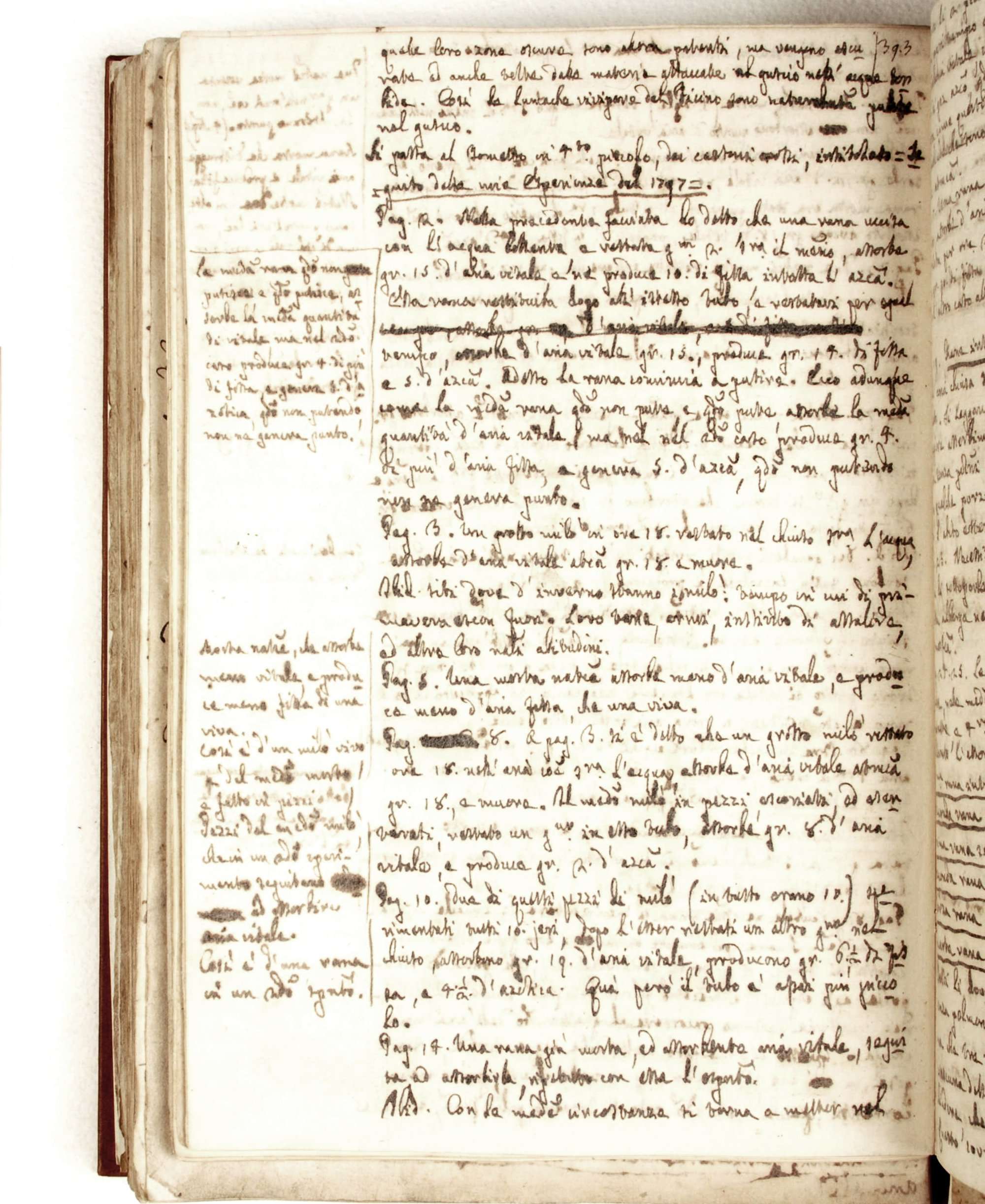 Pag. 199v