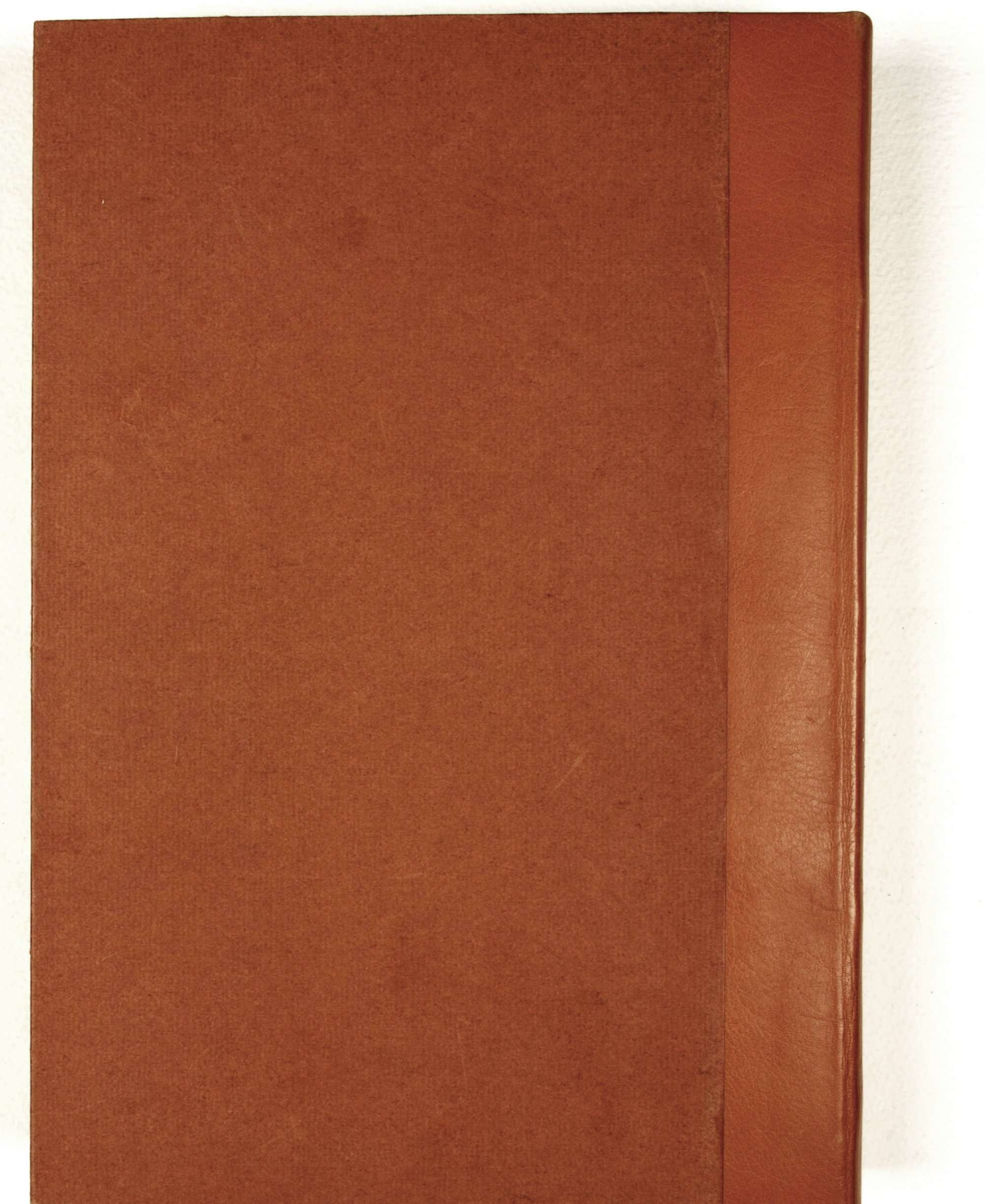 Pag. piatto posteriore