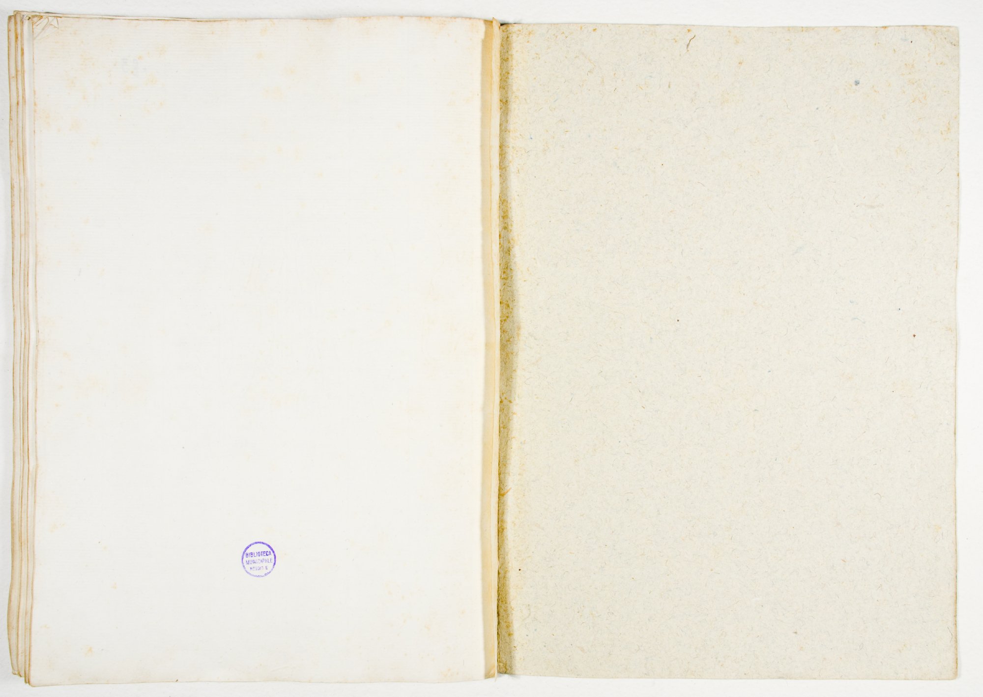 Pag. controguardia piatto posteriore