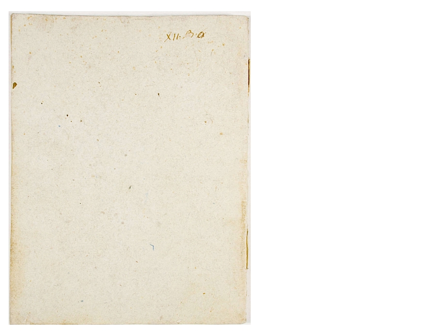 Pag. piatto posteriore