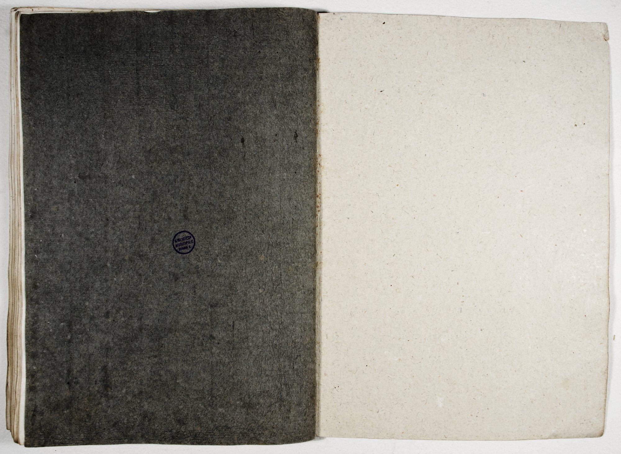 Pag. controguardia piatto posteriore