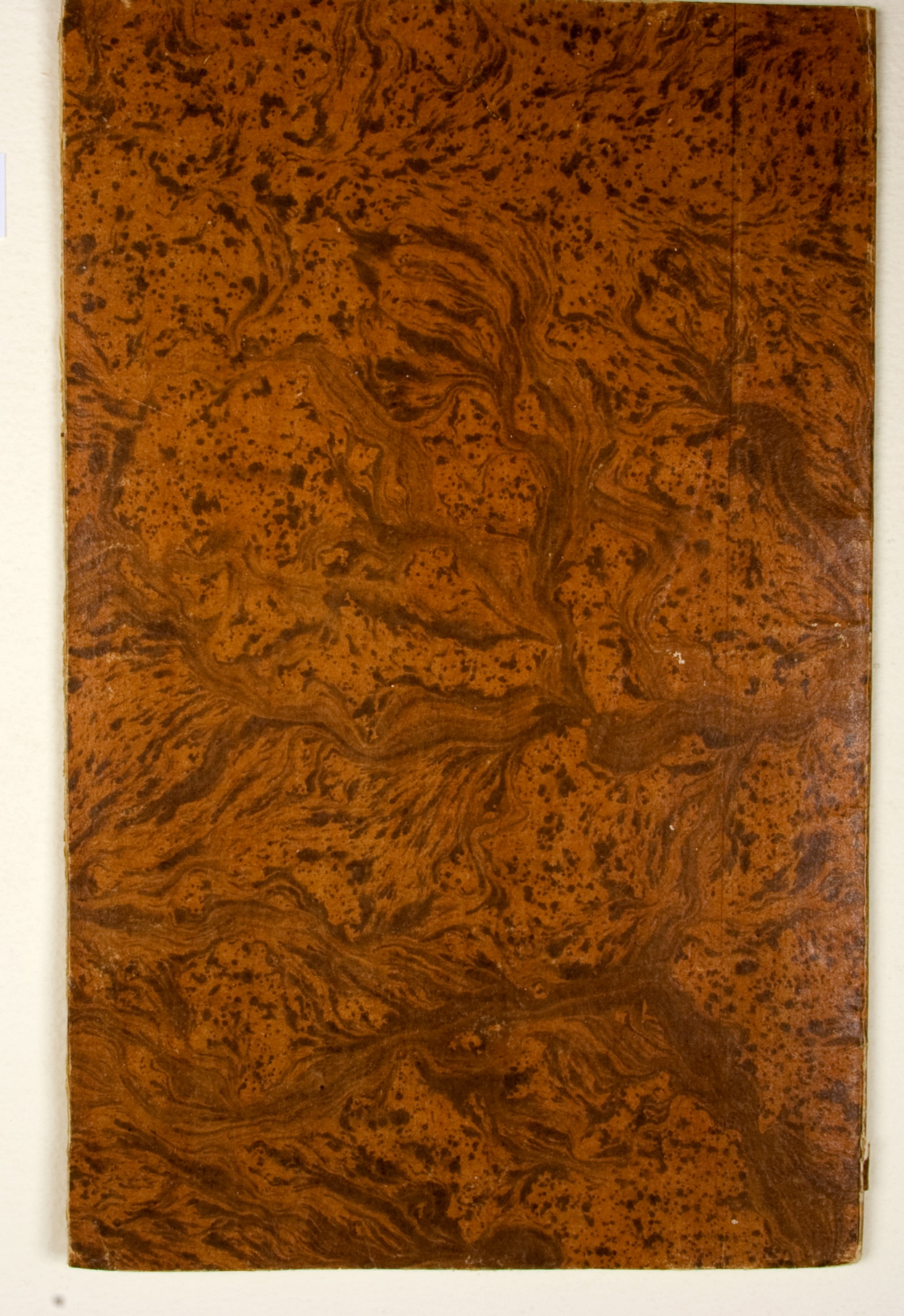 Pag. piatto posteriore