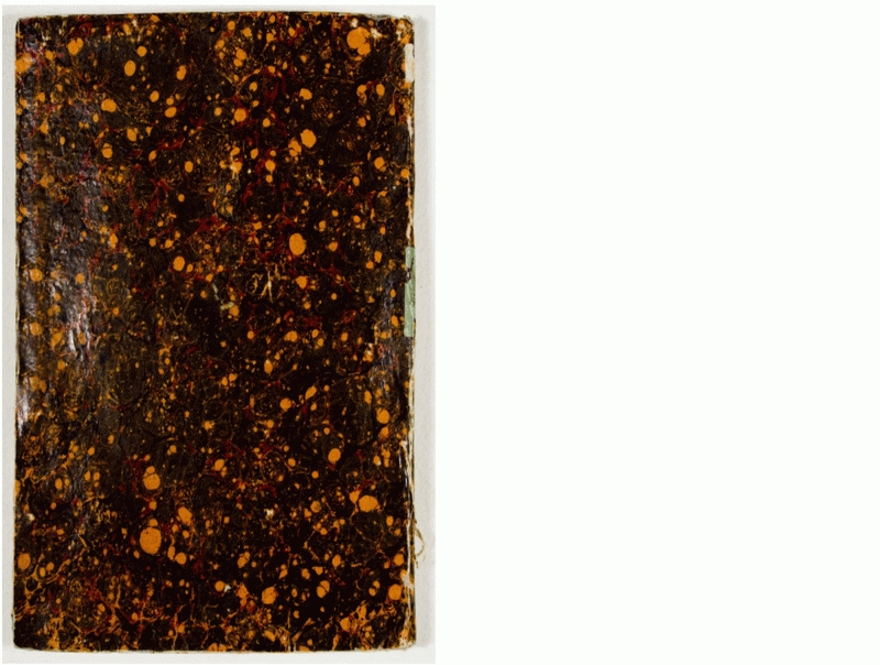 Pag. piatto posteriore