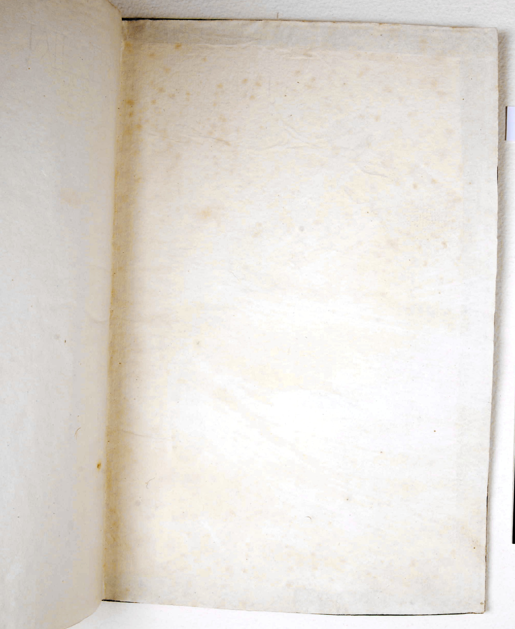 Pag. controguardia piatto posteriore