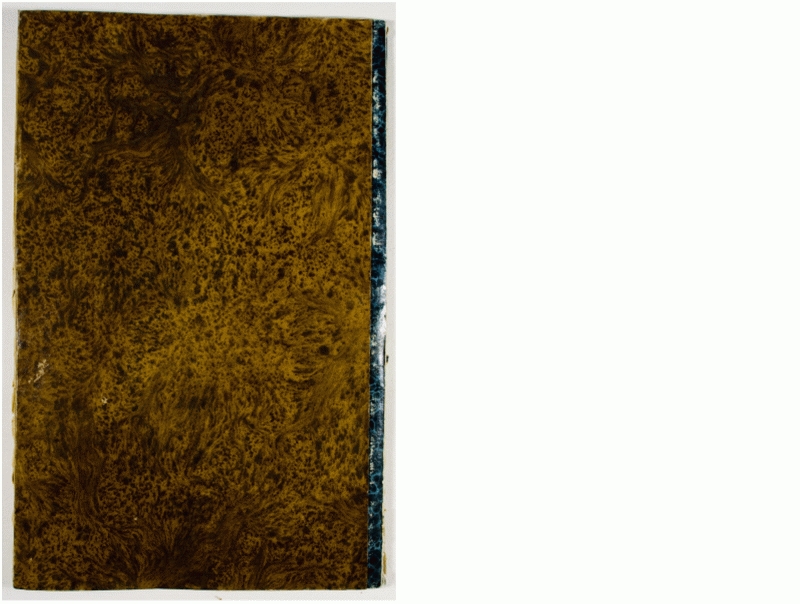 Pag. piatto posteriore