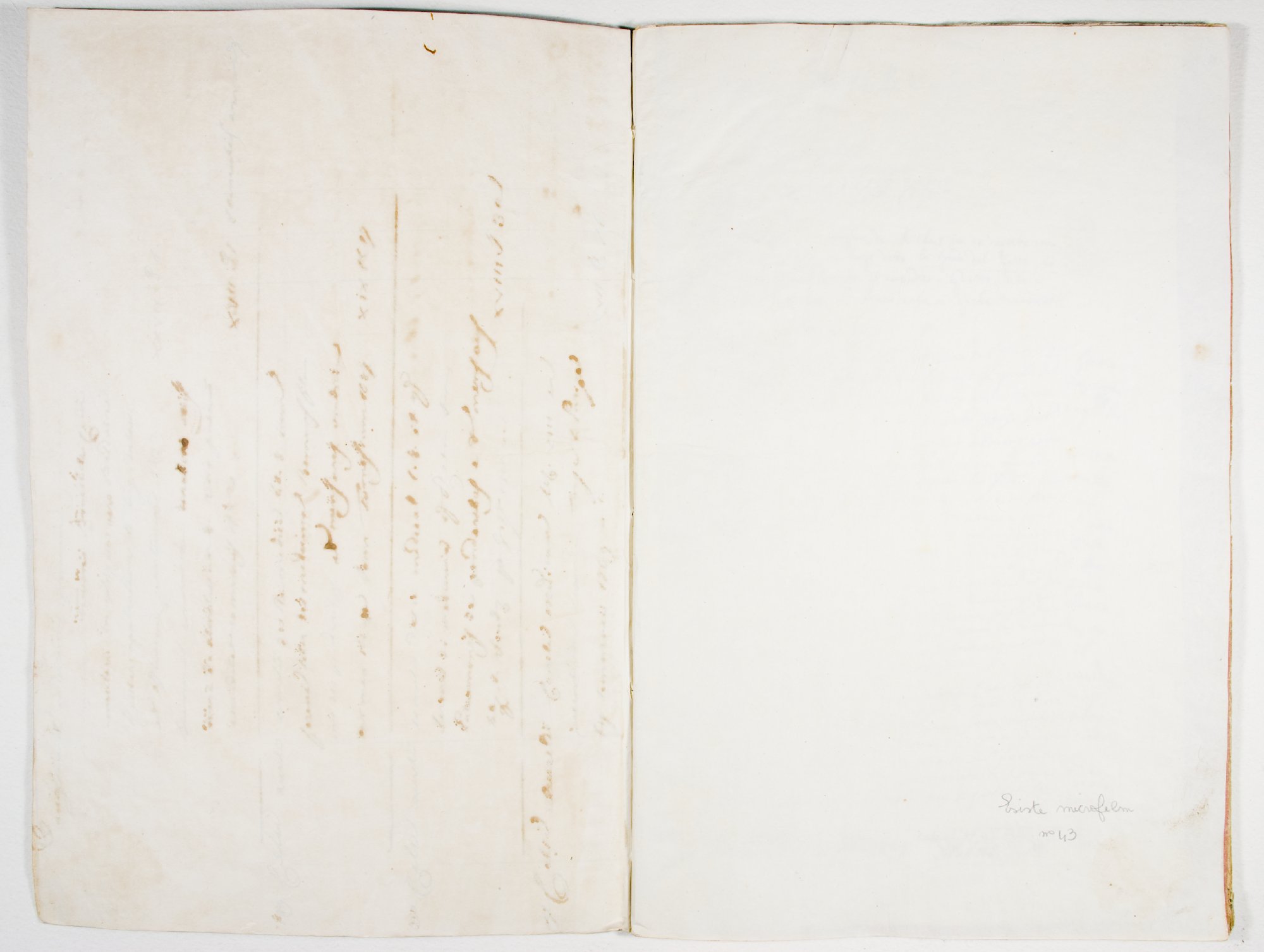 Pag. controguardia piatto anteriore