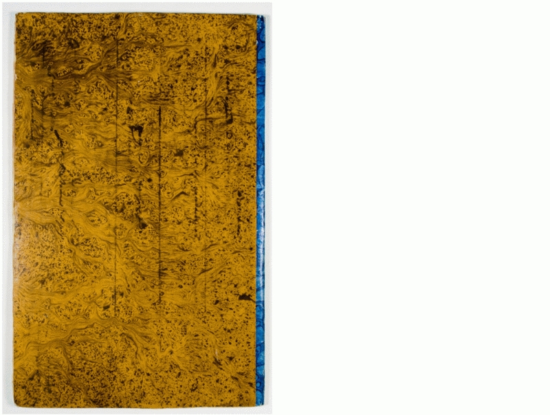 Pag. piatto posteriore