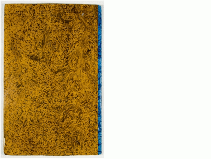 Pag. piatto posteriore