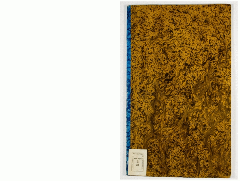 Pag. piatto anteriore