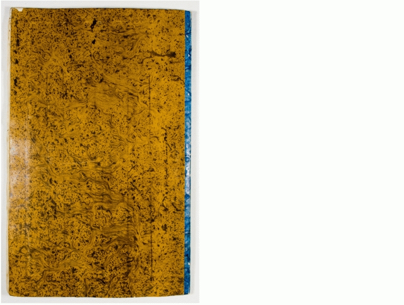 Pag. piatto posteriore