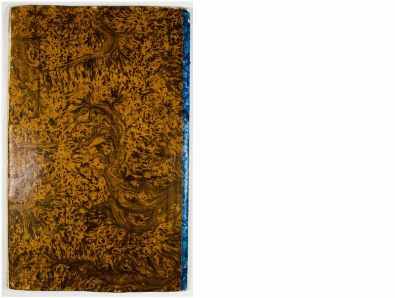 Pag. piatto posteriore