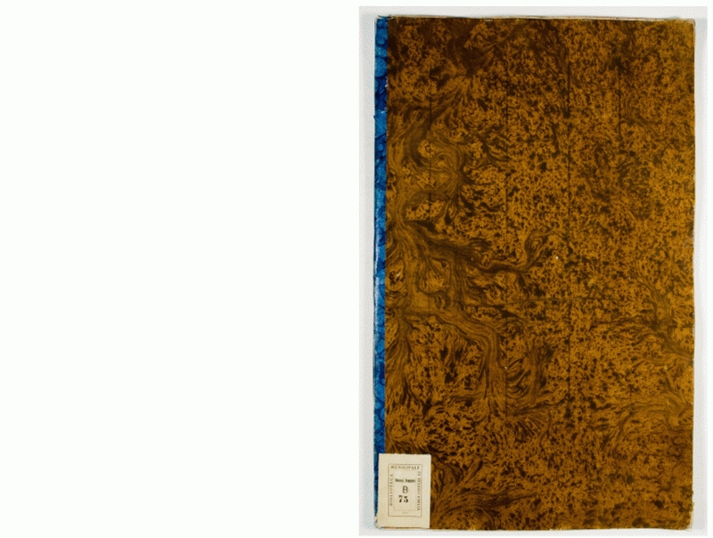 Pag. piatto anteriore