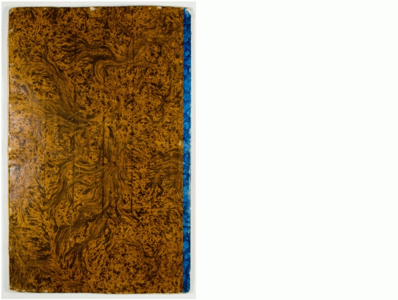 Pag. piatto posteriore