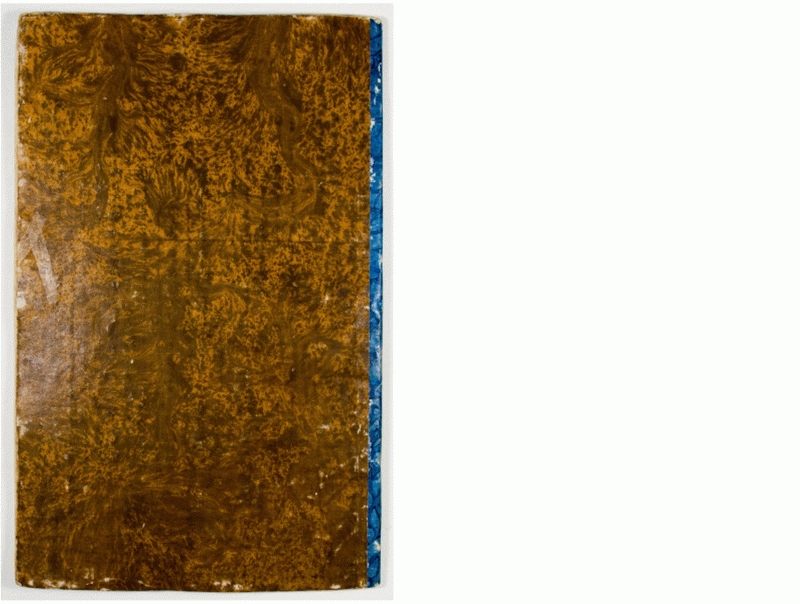 Pag. piatto posteriore