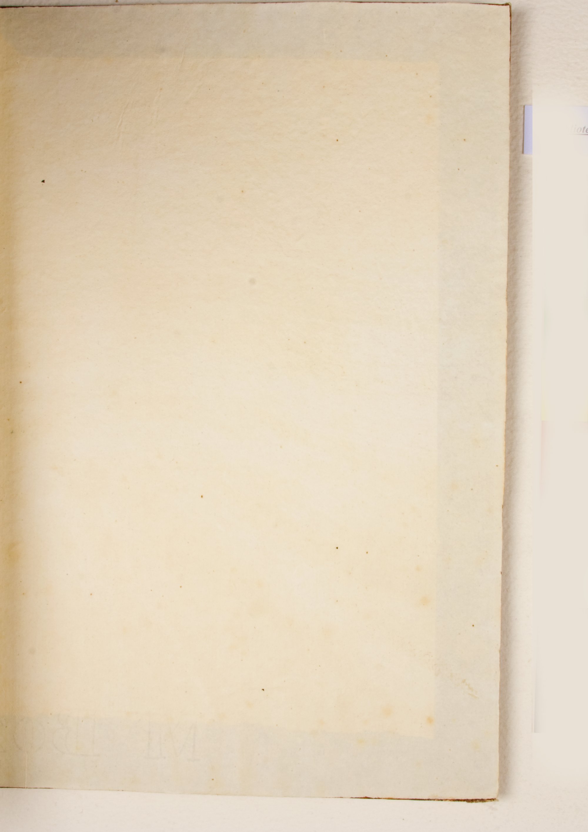 Pag. controguardia piatto posteriore