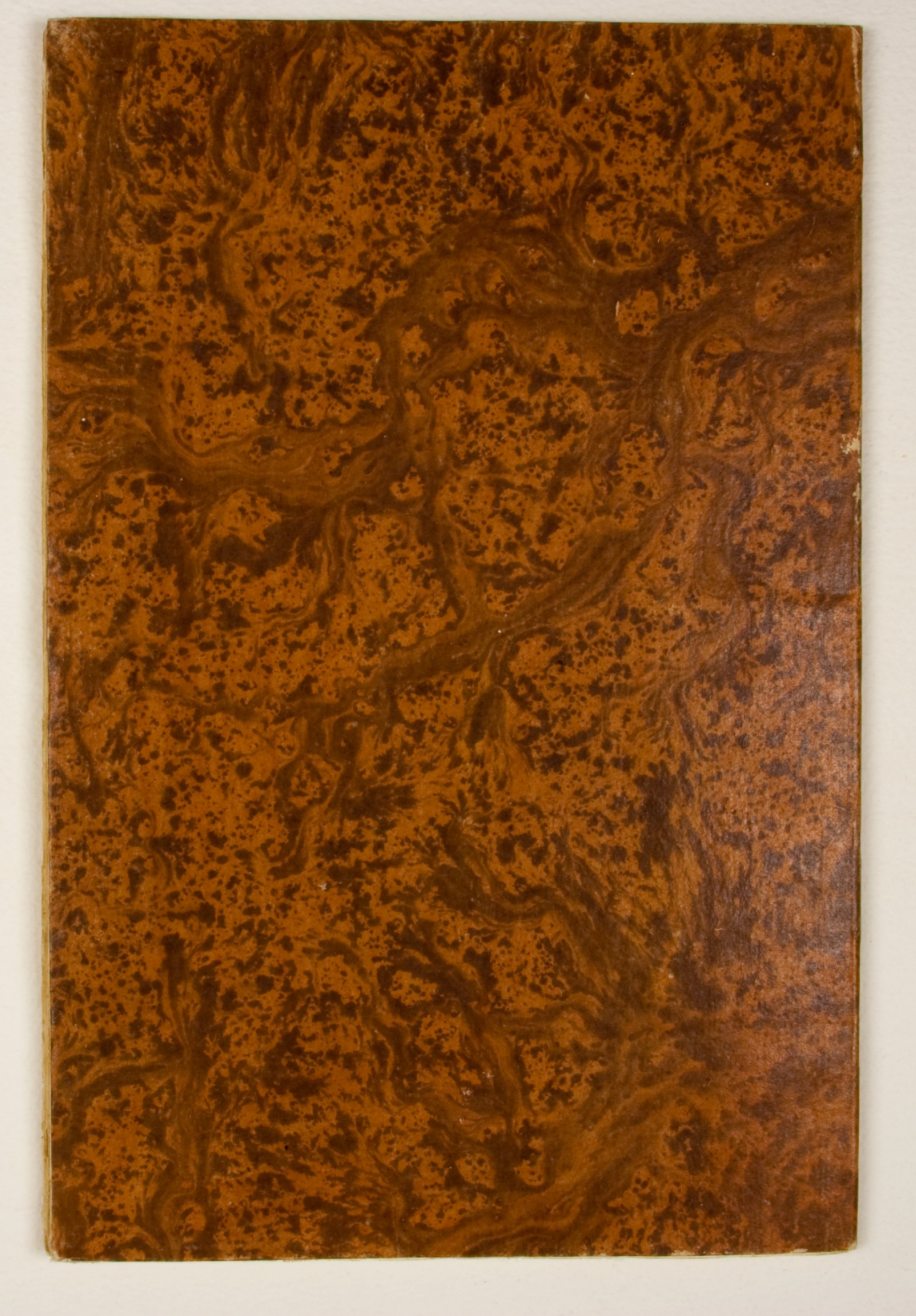 Pag. piatto posteriore