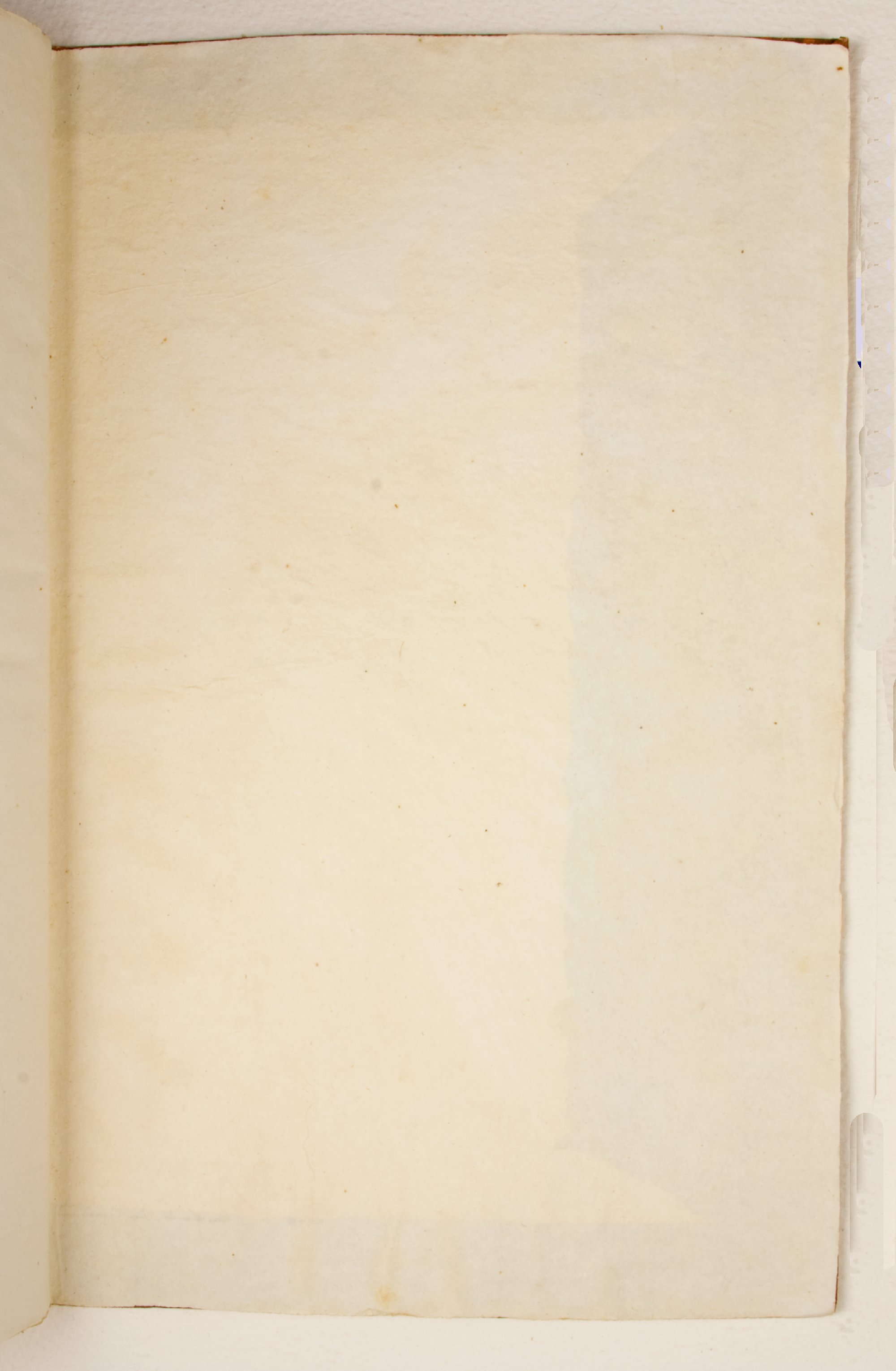 Pag. controguardia piatto posteriore