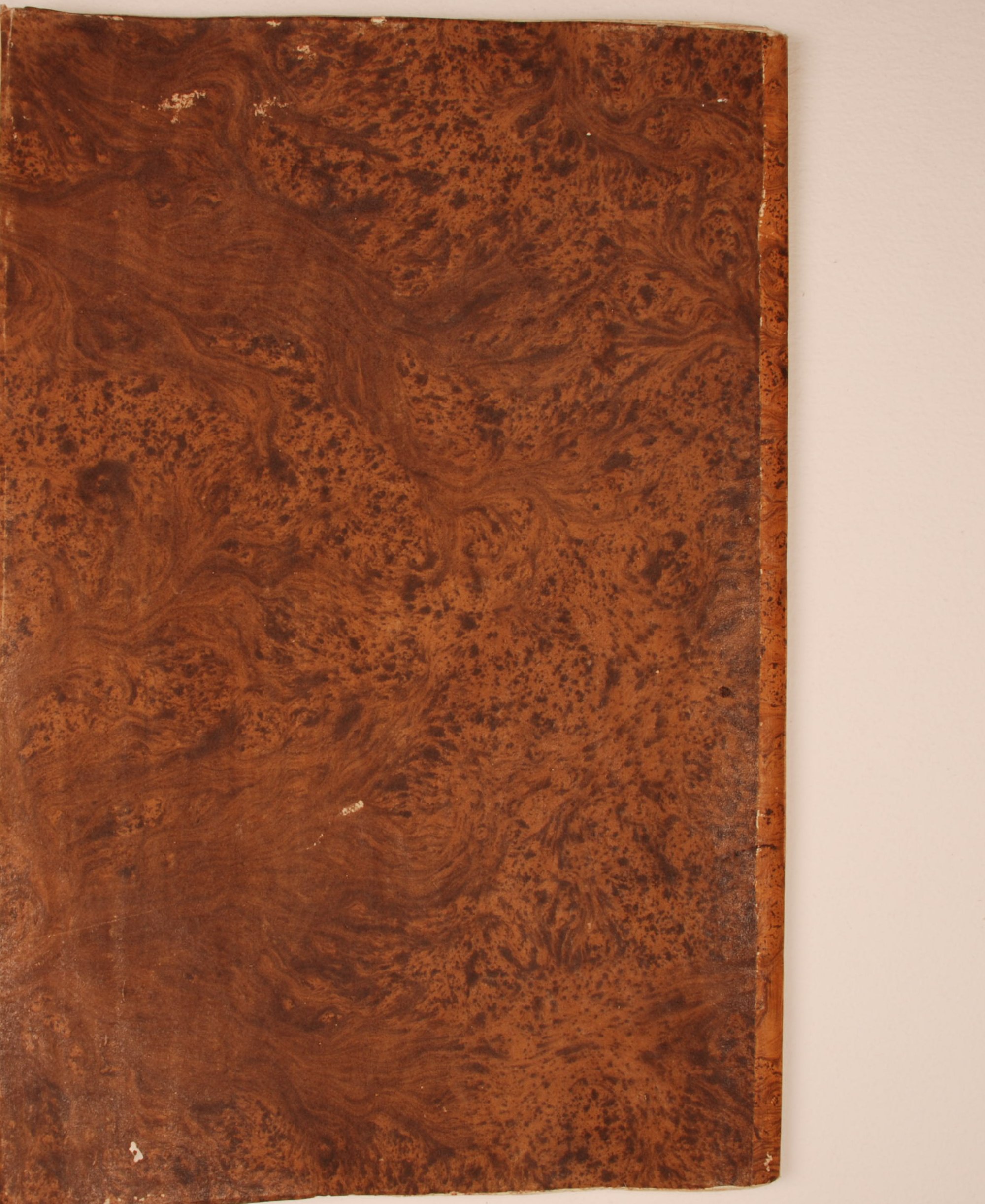 Pag. piatto posteriore