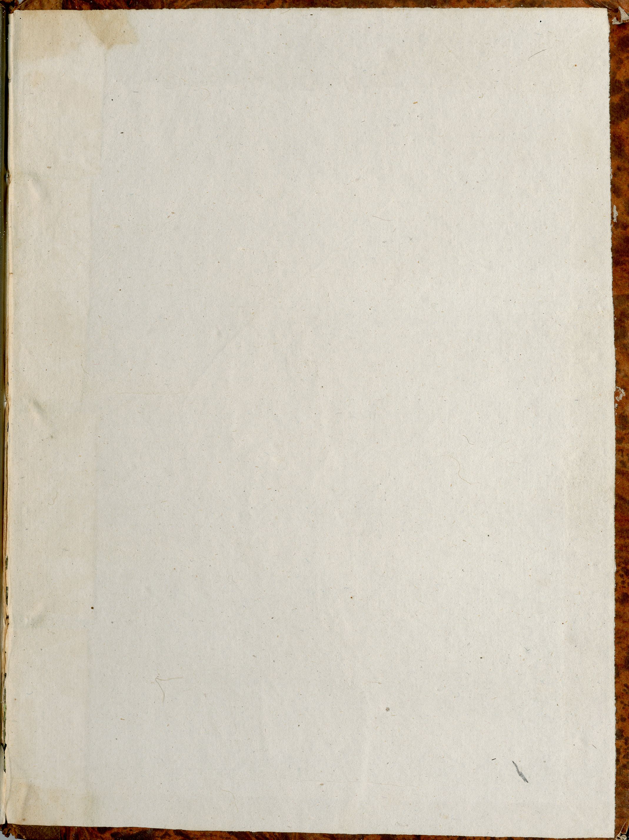 controguardia piatto posteriore