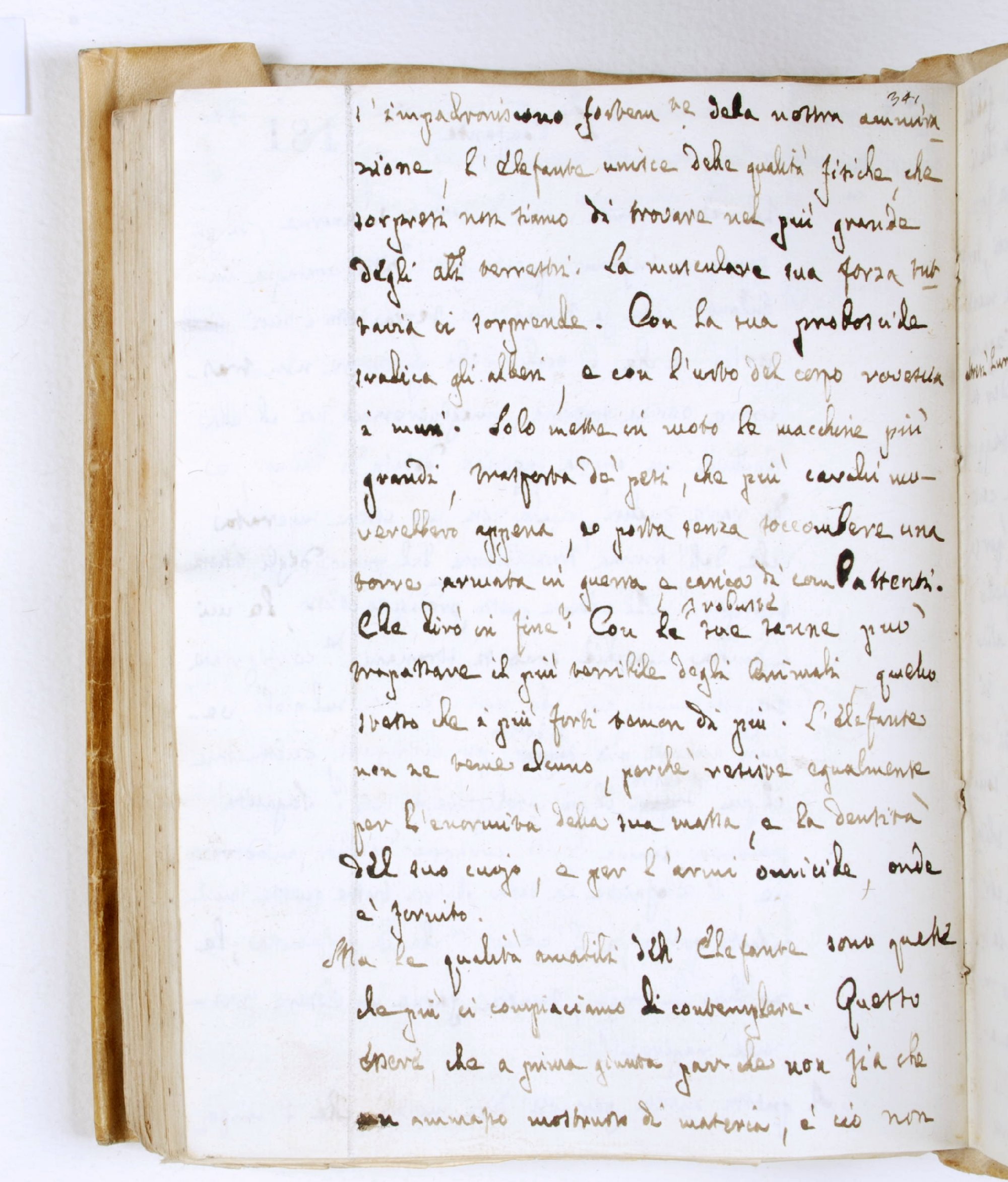 Pag. 181v