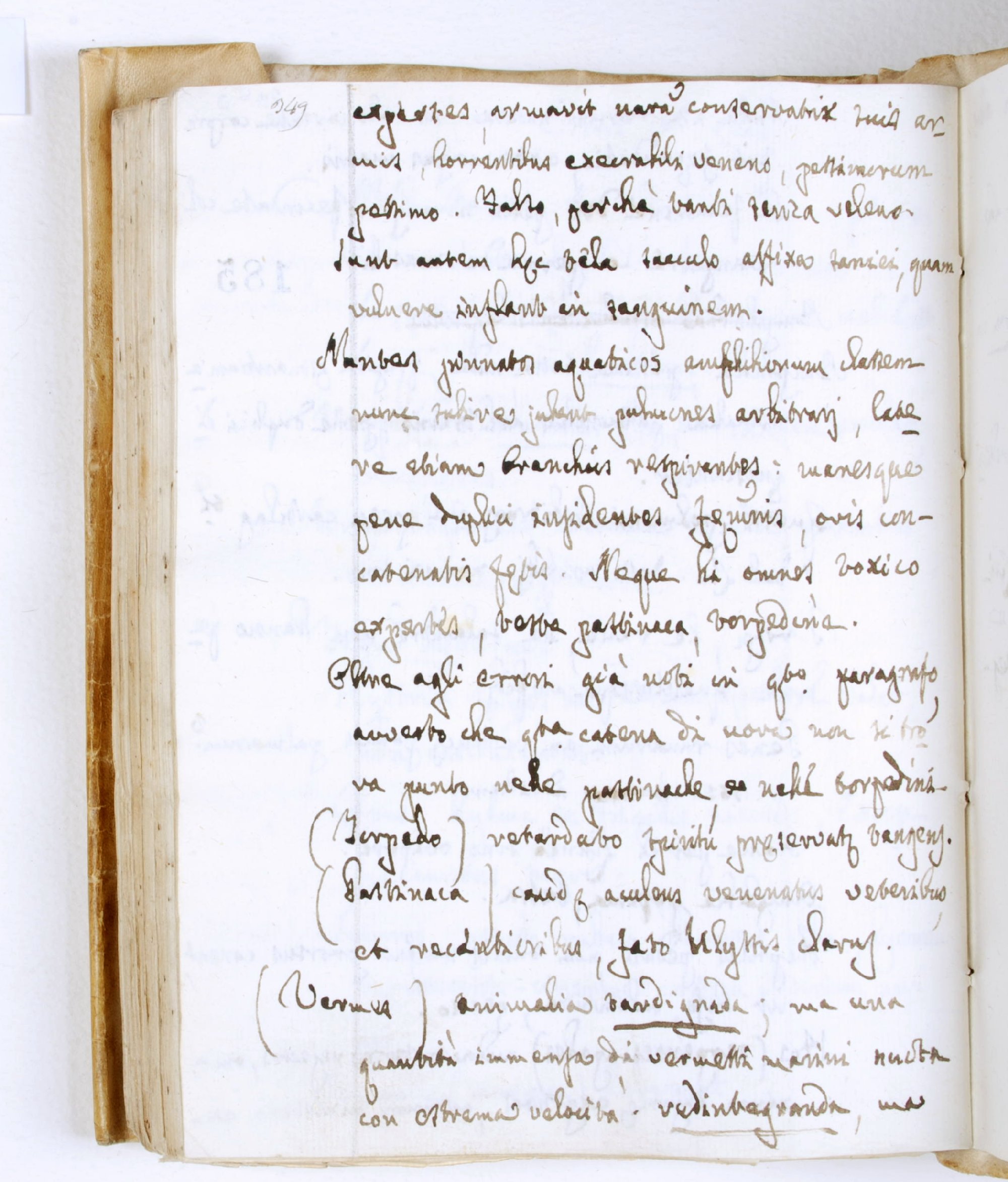 Pag. 185v