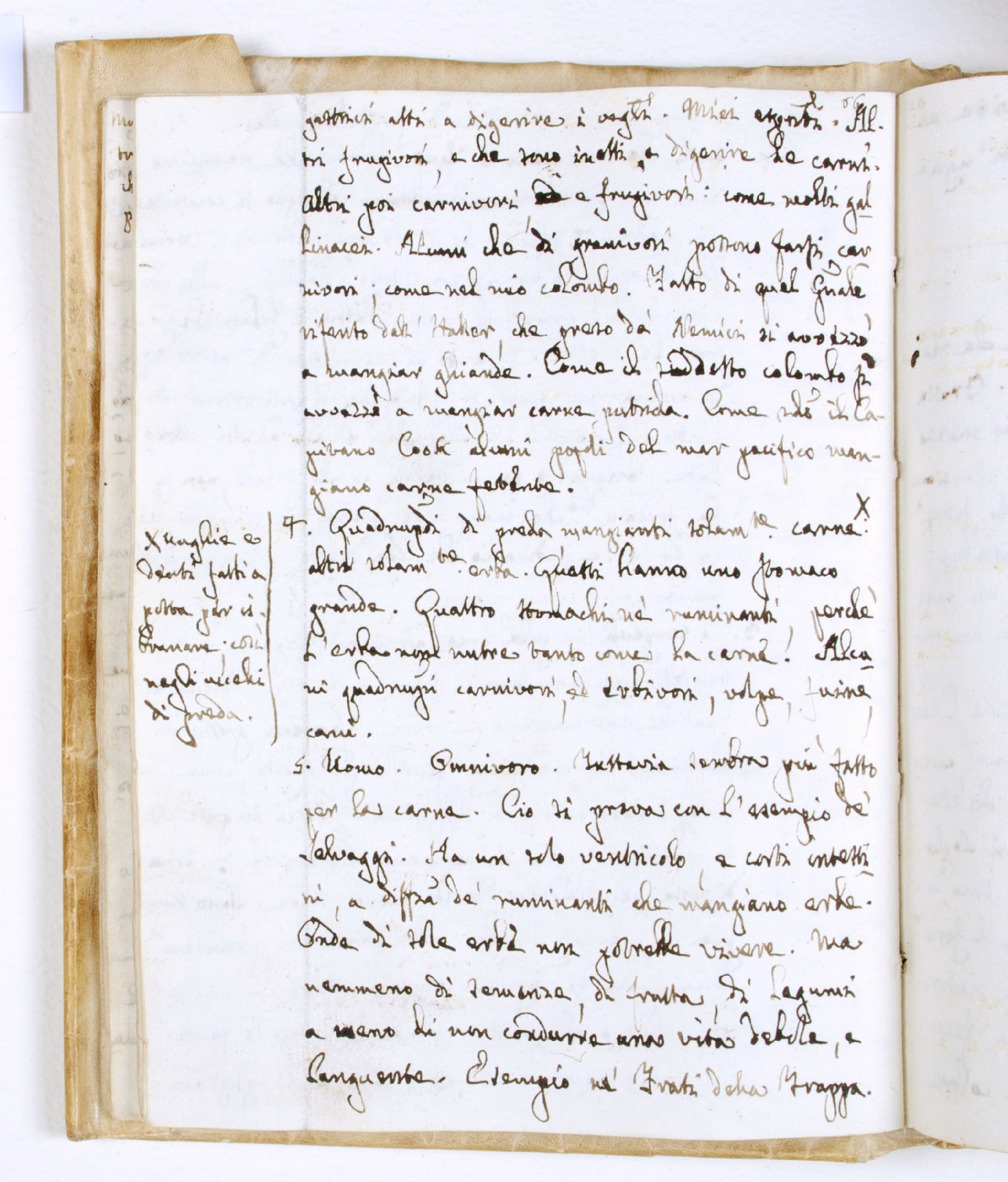 Pag. 41v