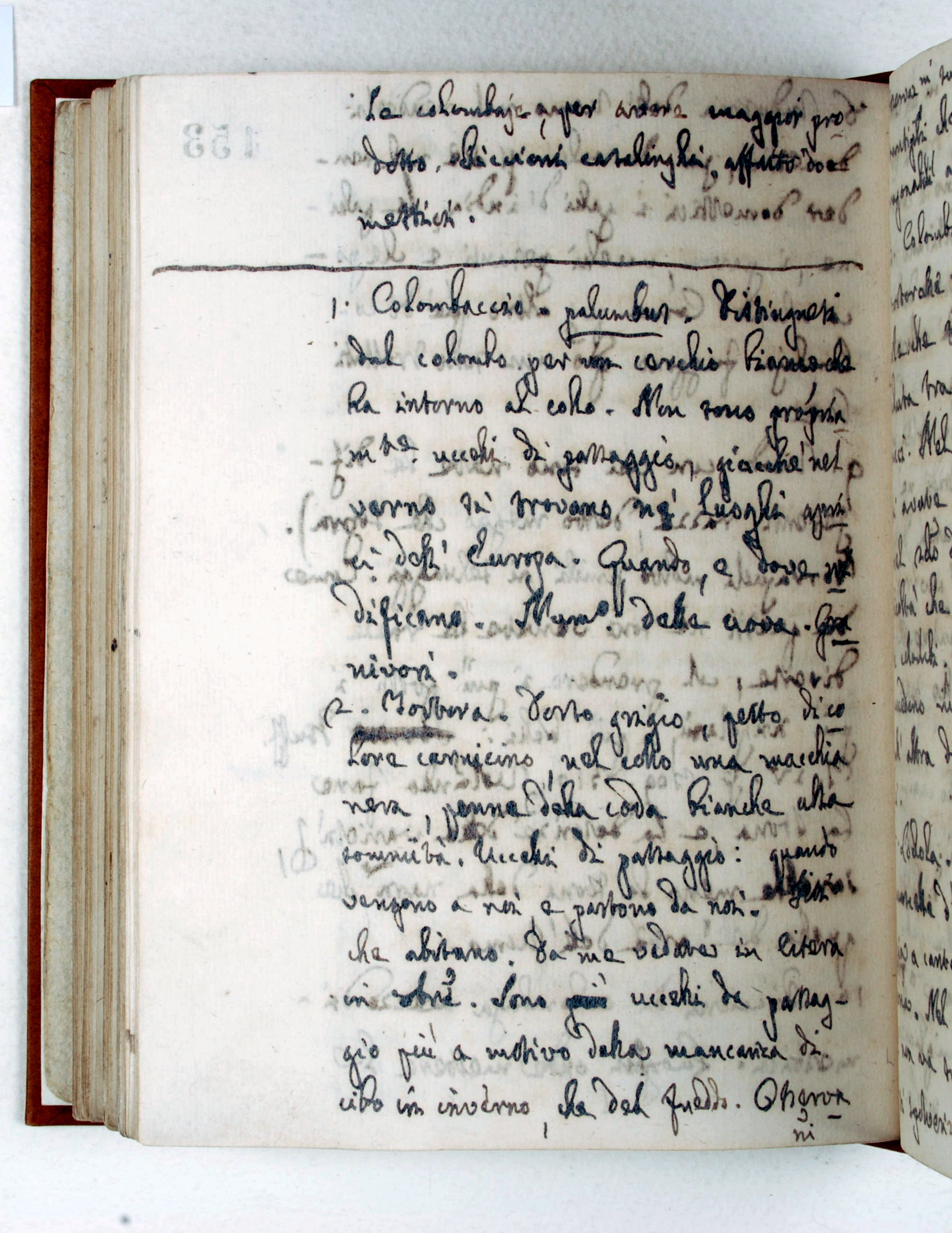 Pag. 153v