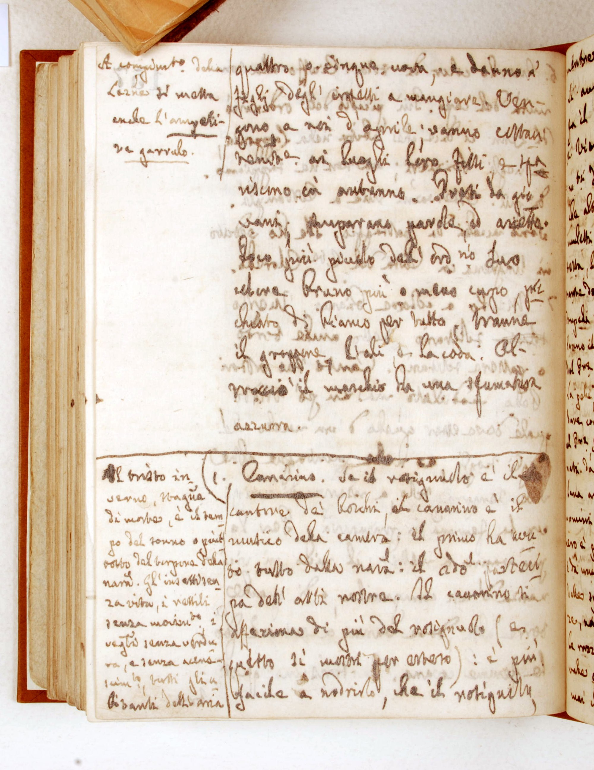Pag. 157v