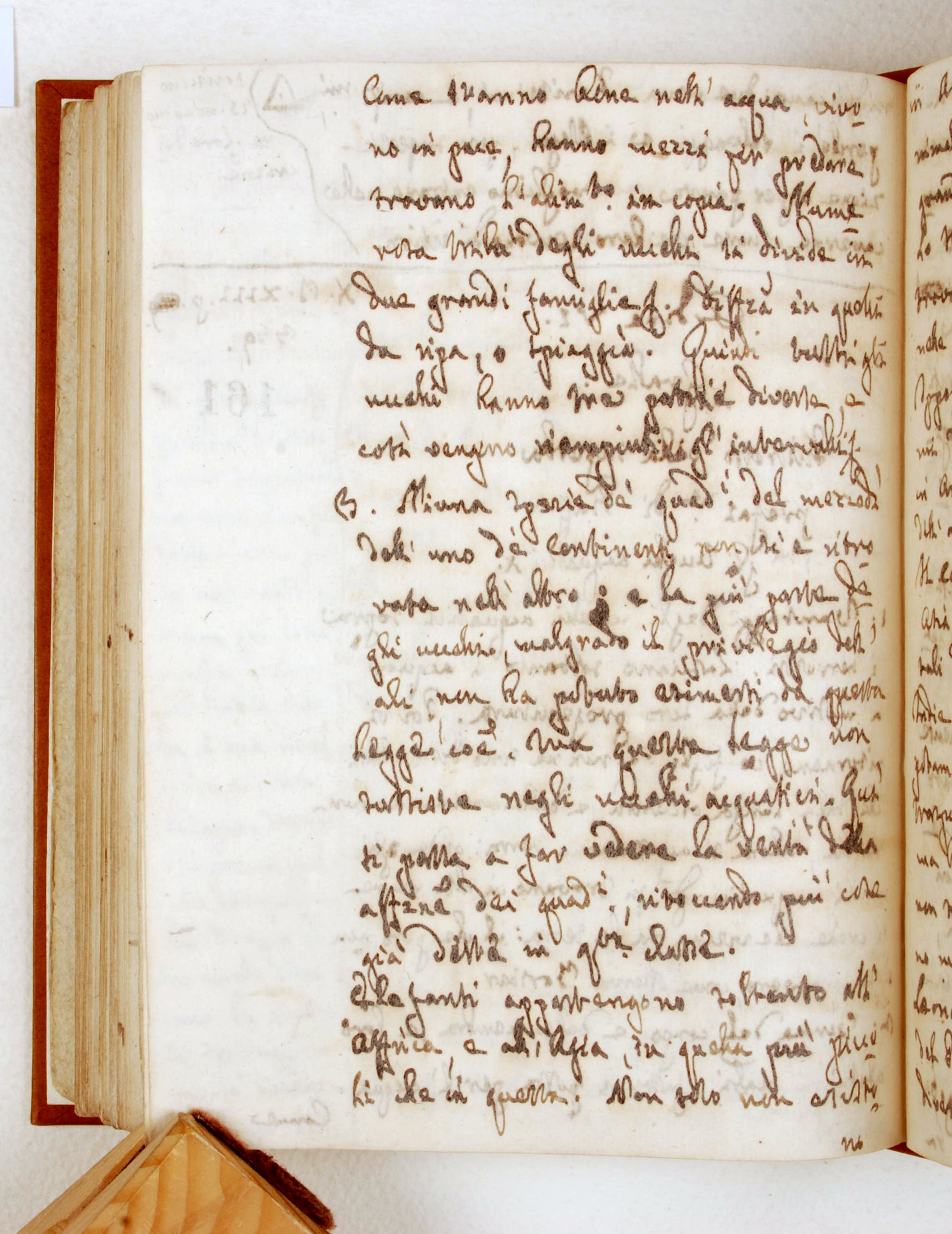 Pag. 161v