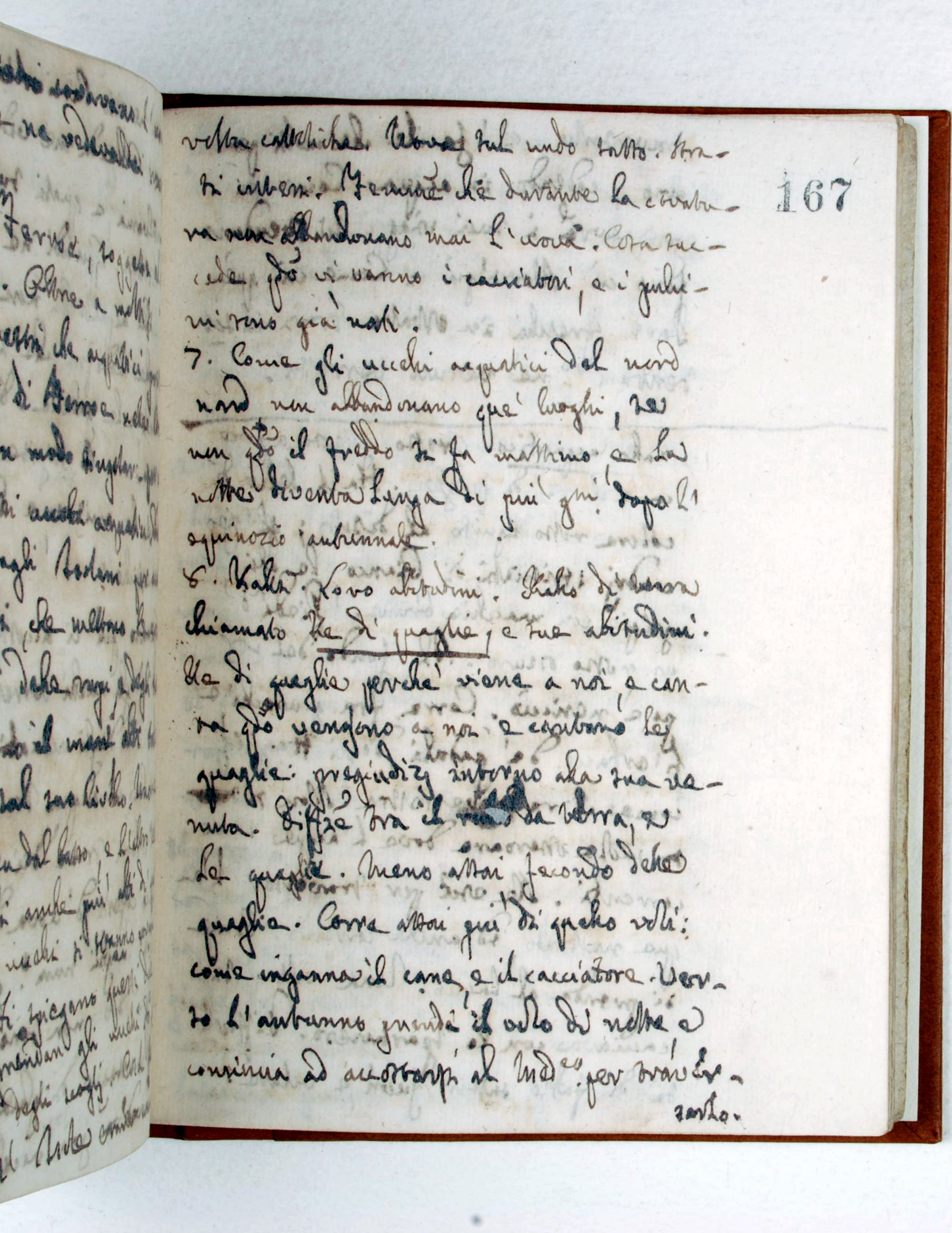 Pag. 167r