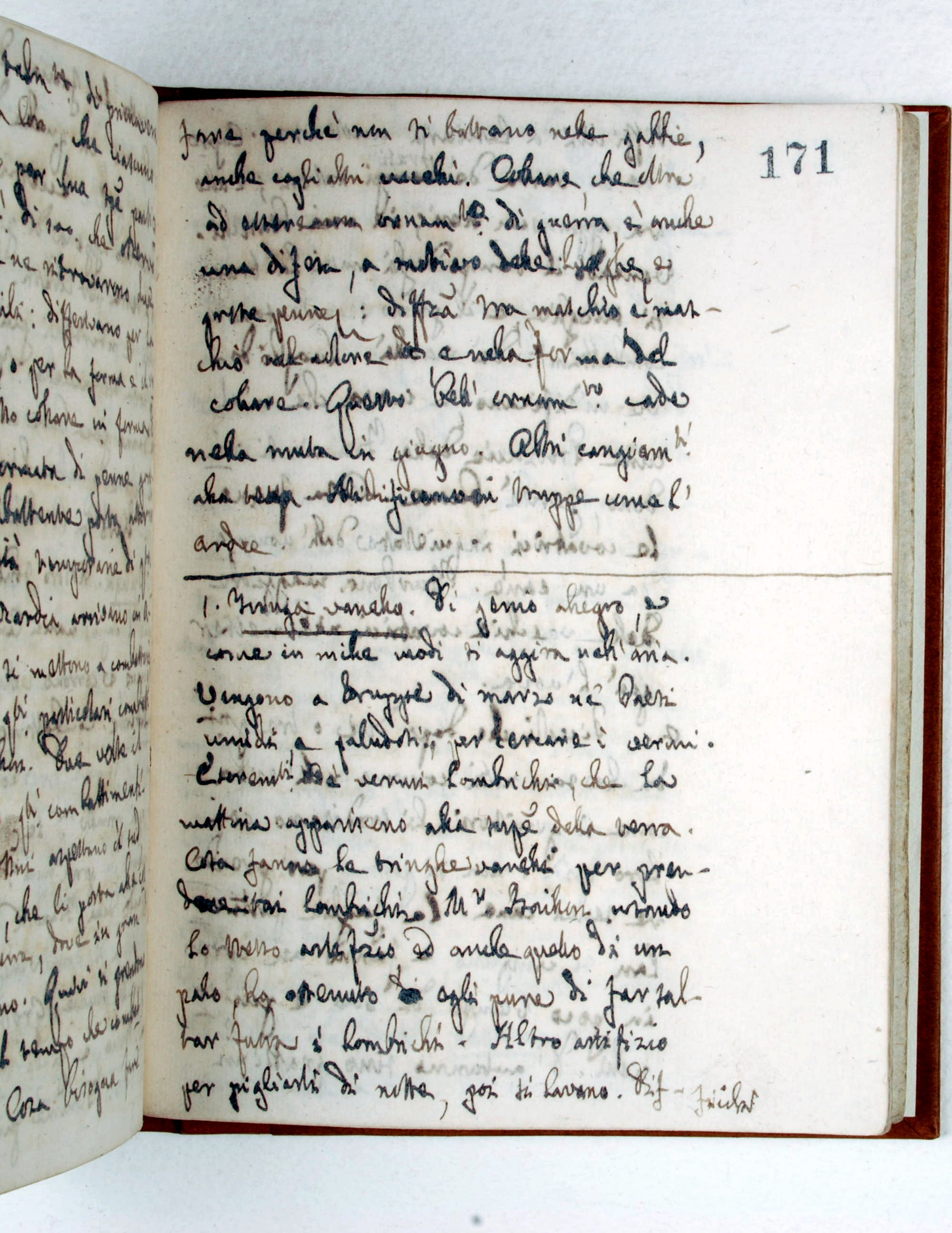 Pag. 171r