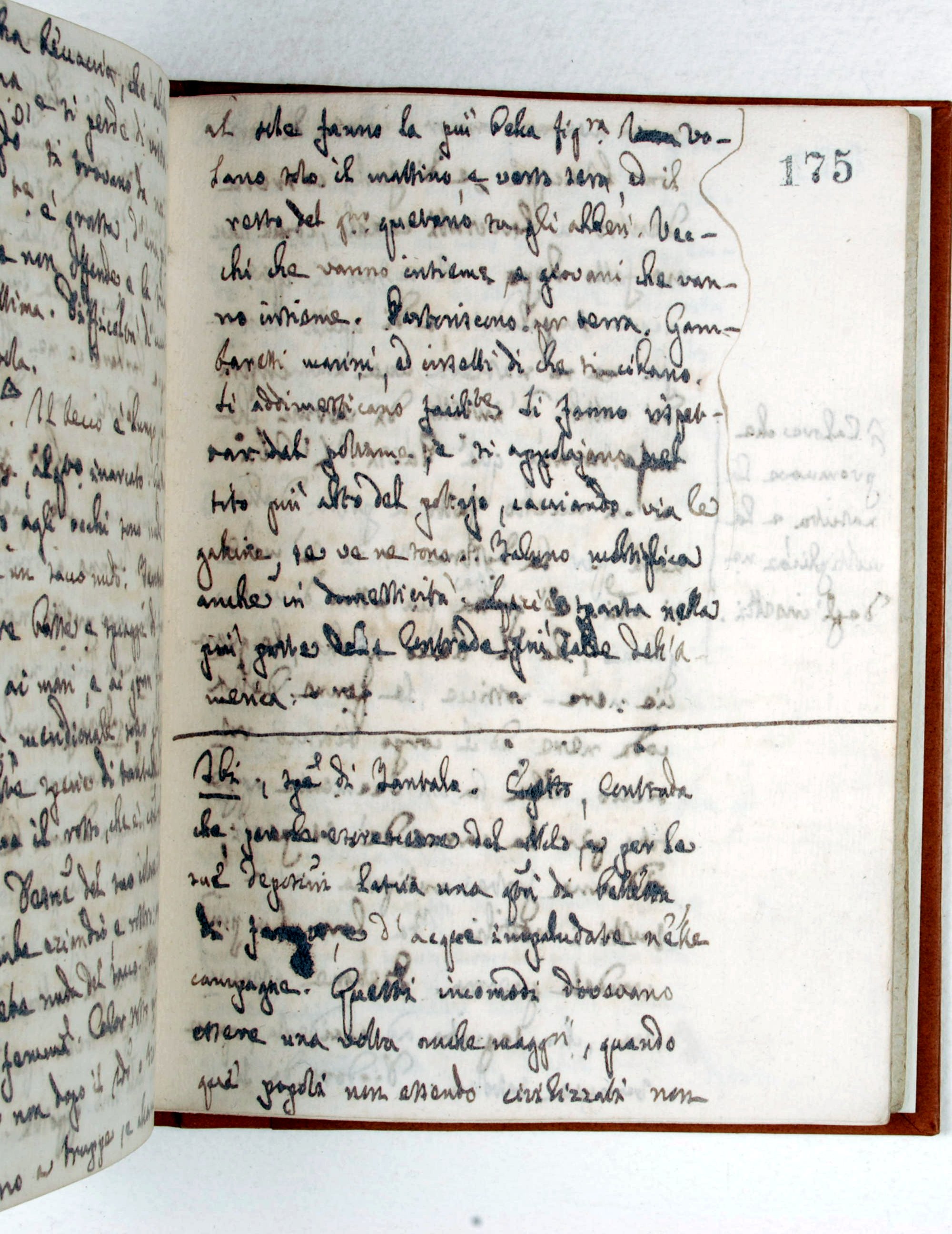 Pag. 175r