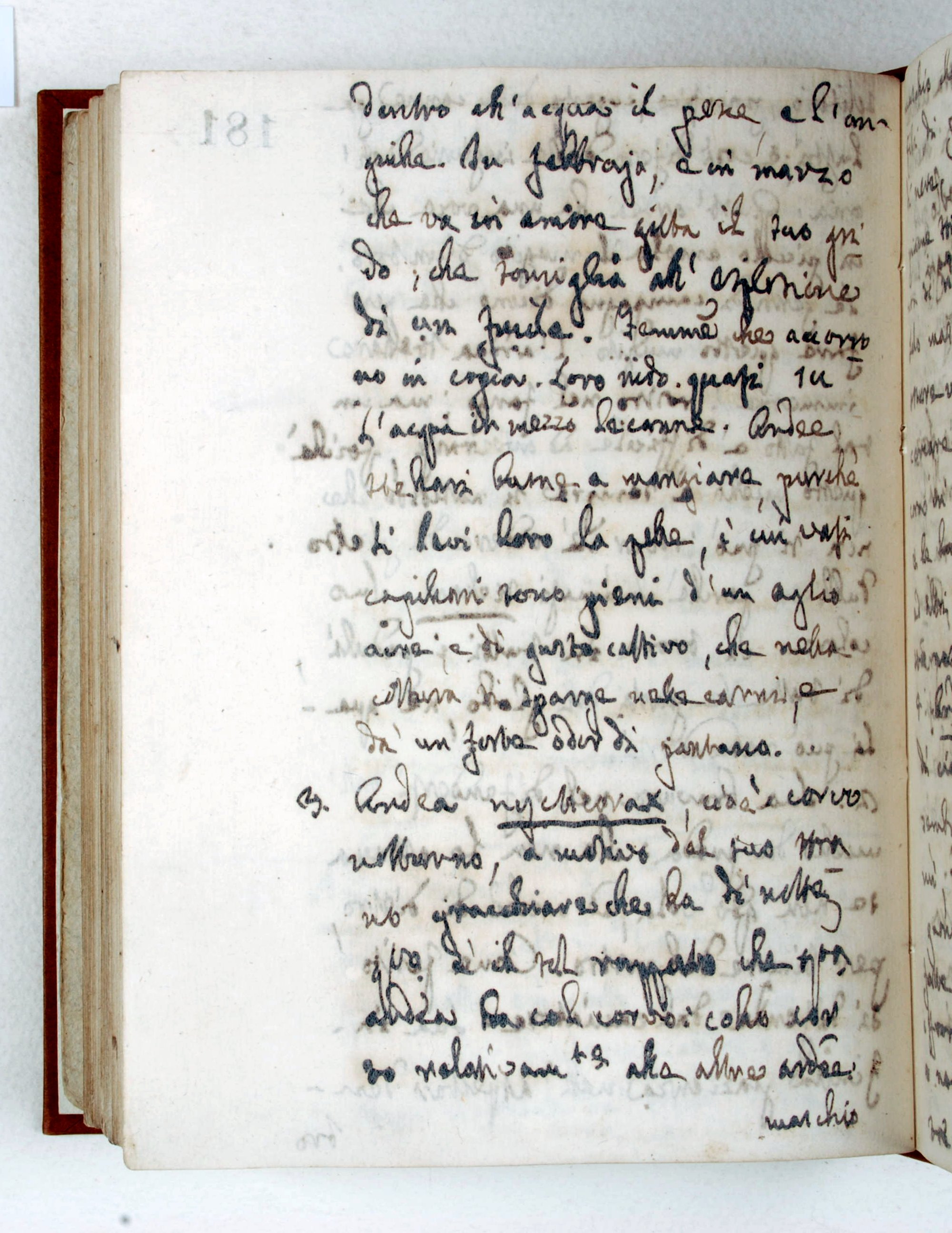 Pag. 181v