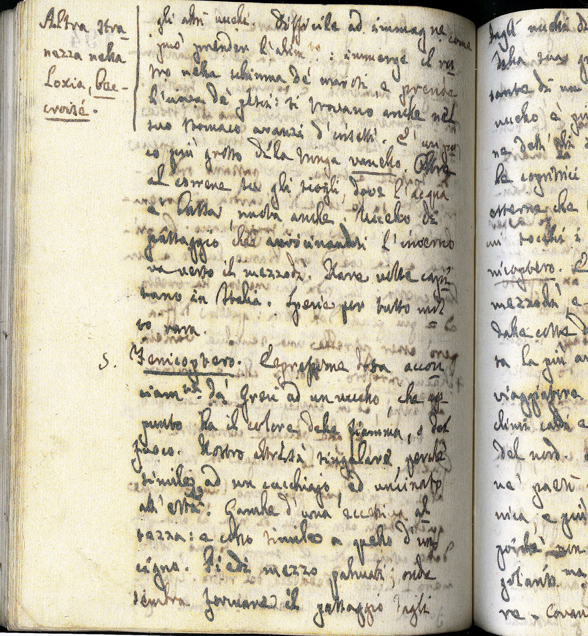 Pag. 194v