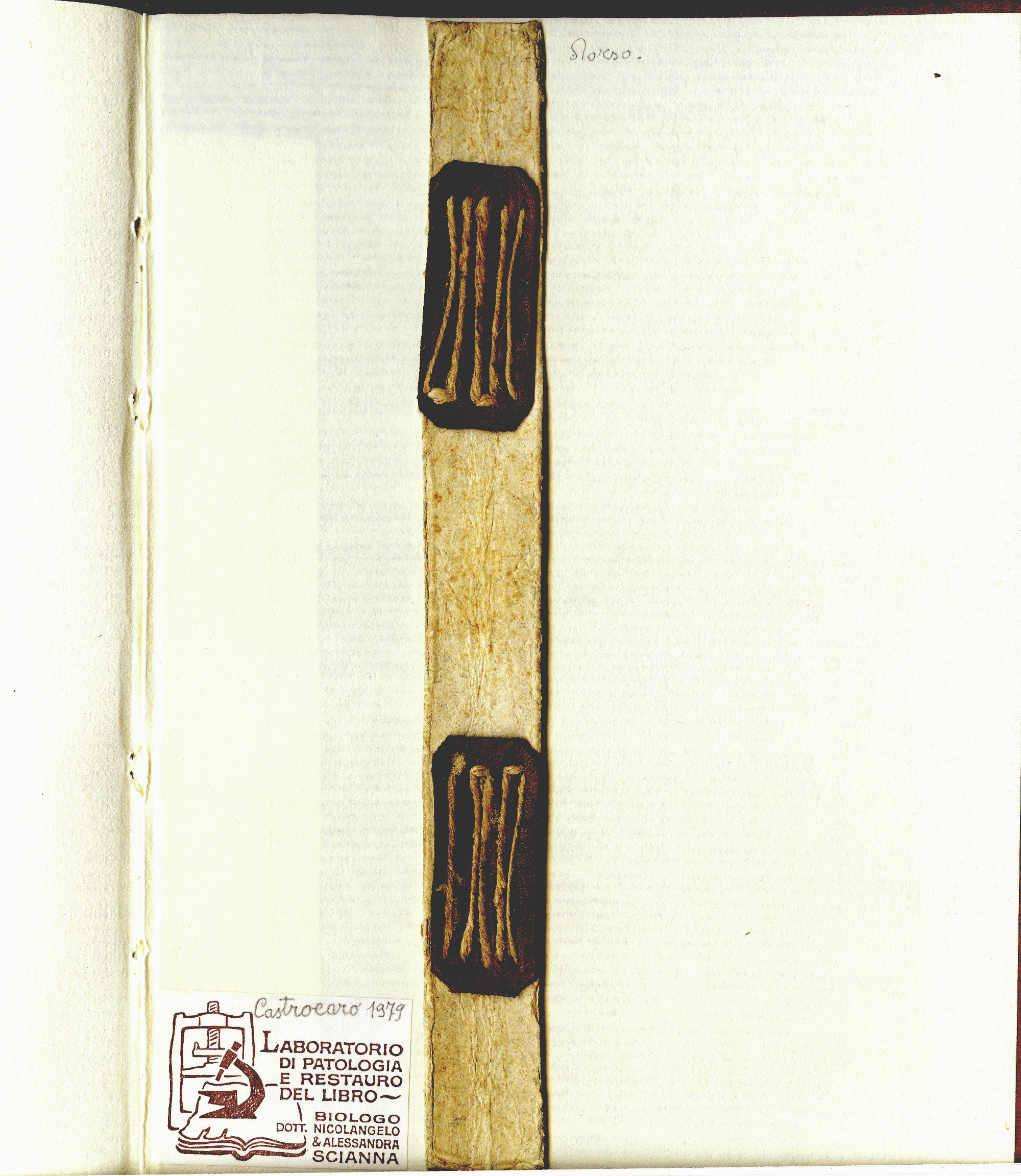 Pag. controguardia piatto posteriore