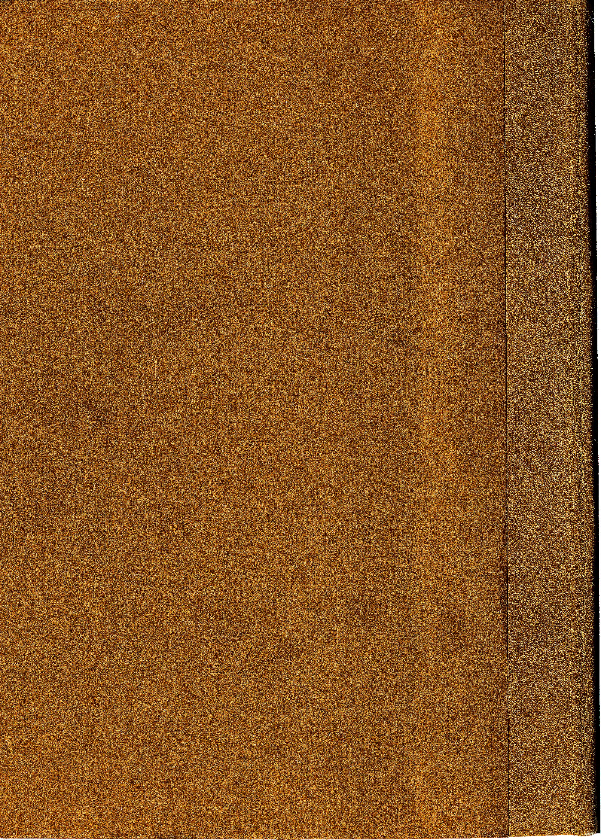 Pag. piatto posteriore