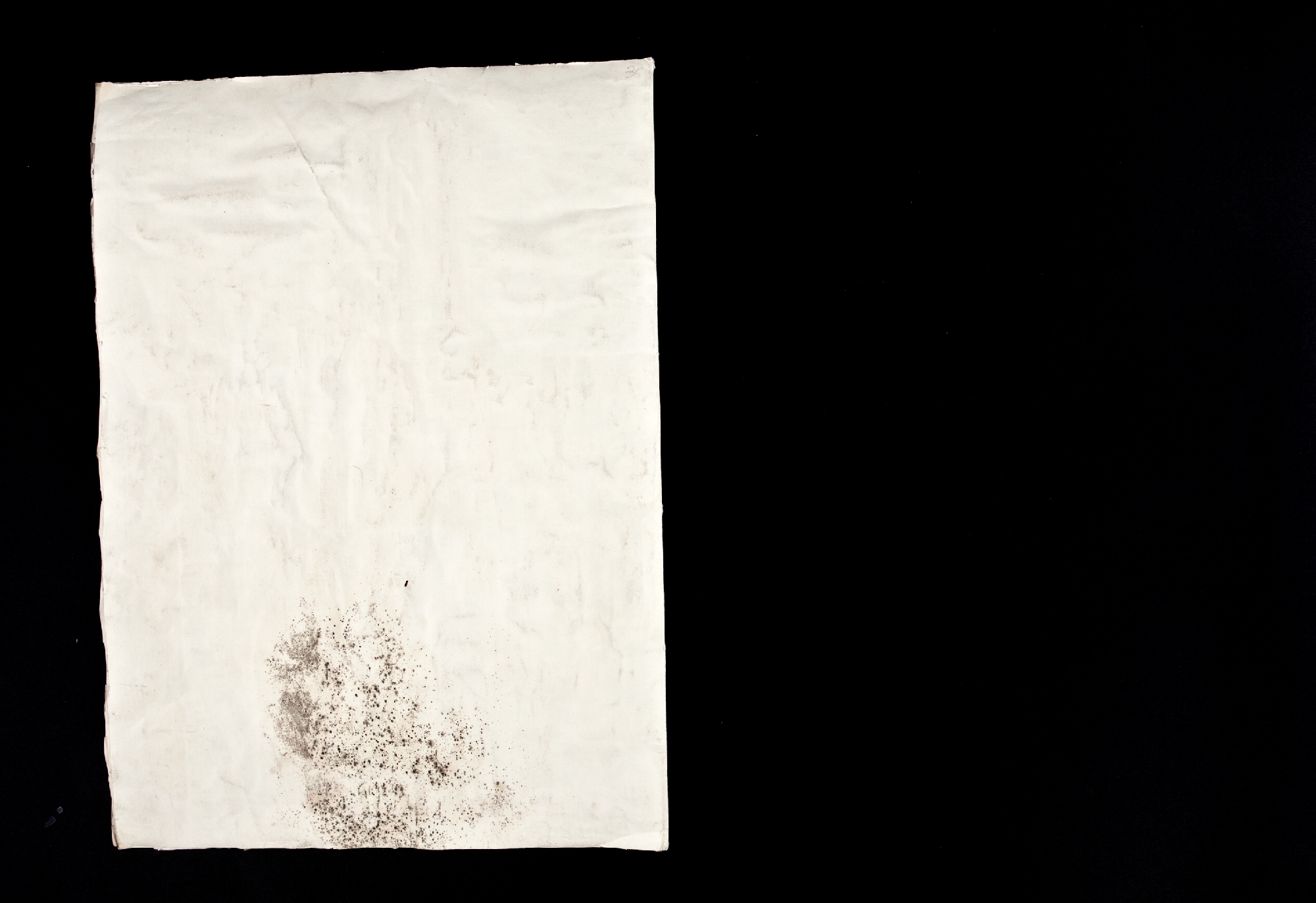 5_quarta di copertina