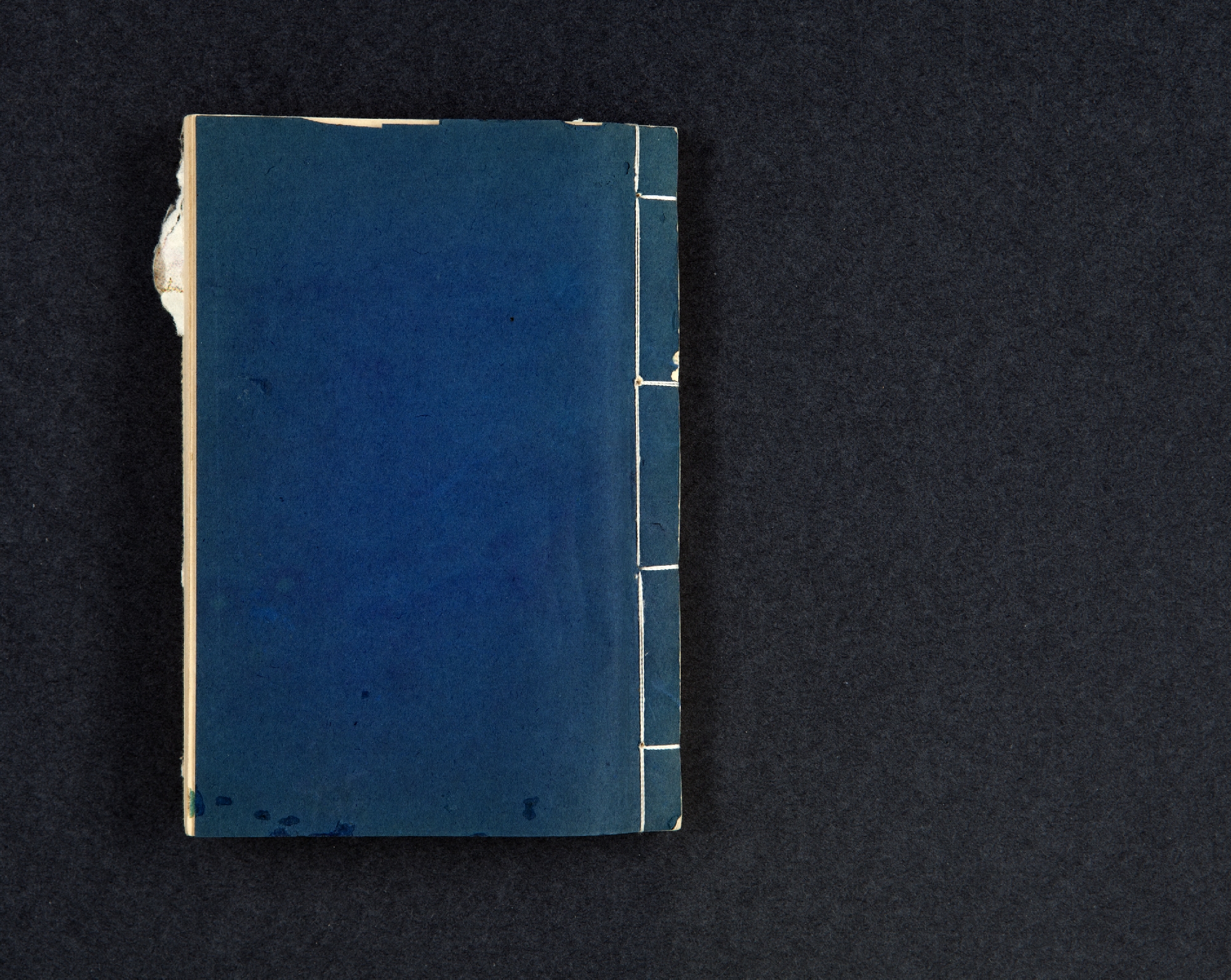 54_quarta di copertina