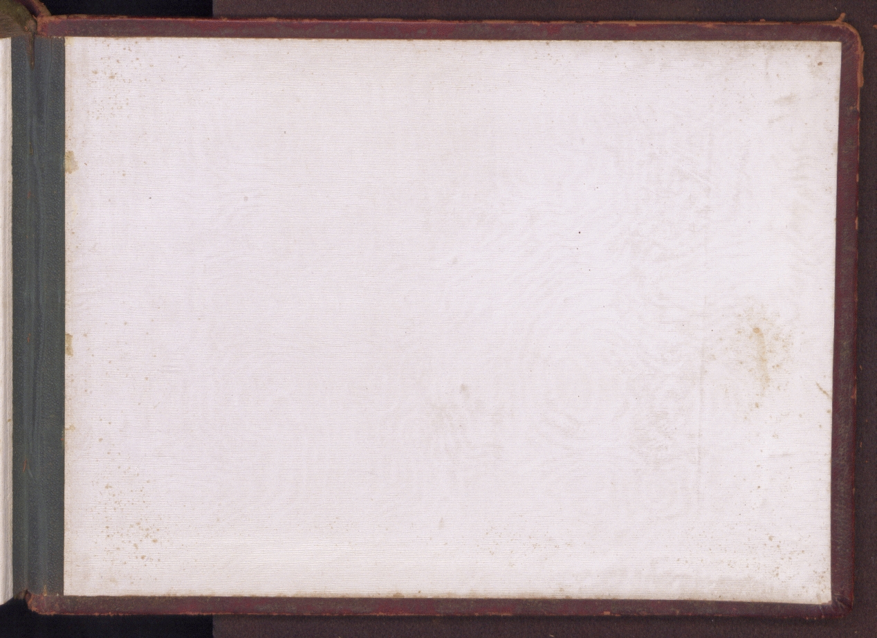 contropiatto_posteriore